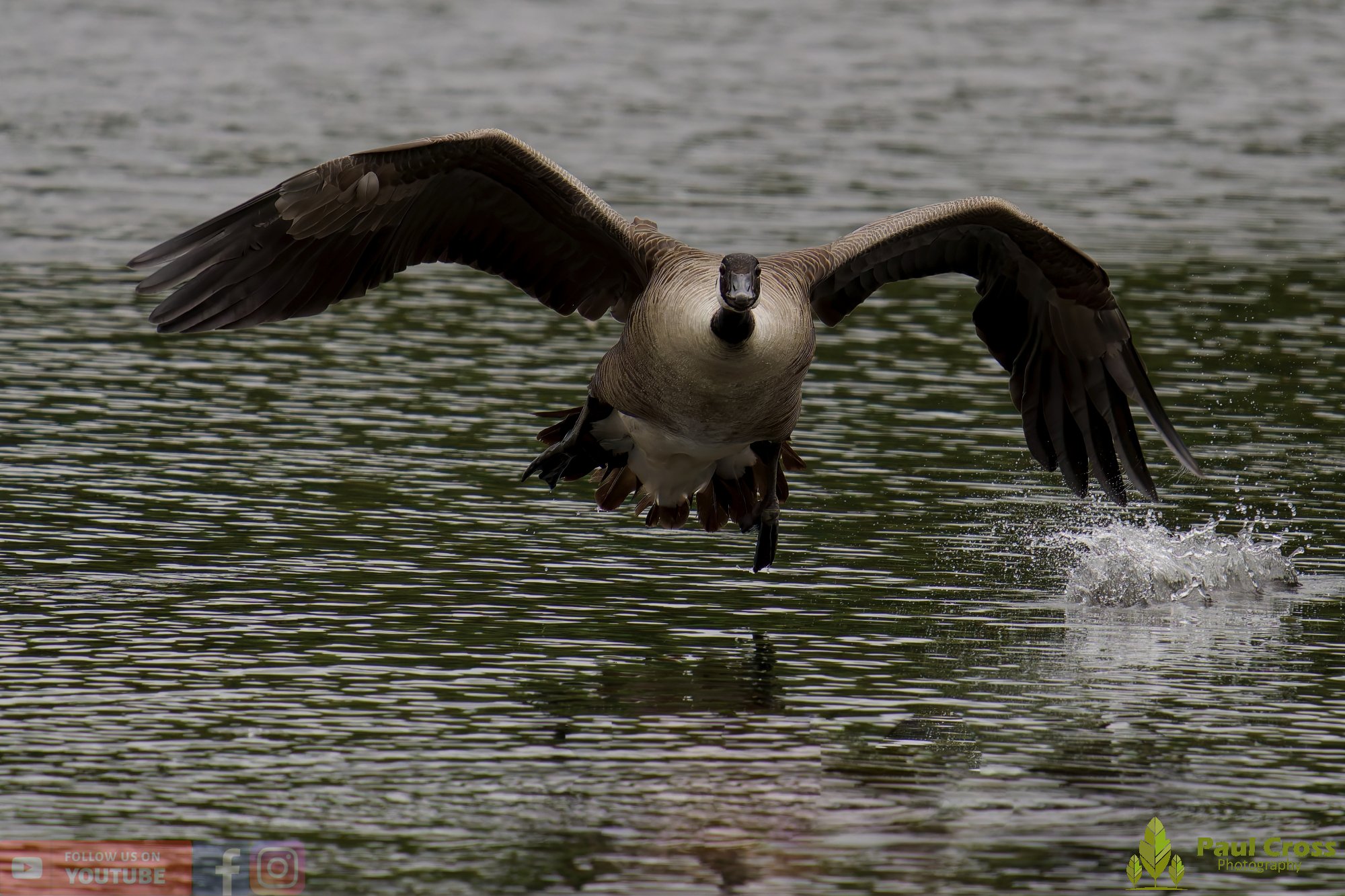 Canada Goose-00118.jpg