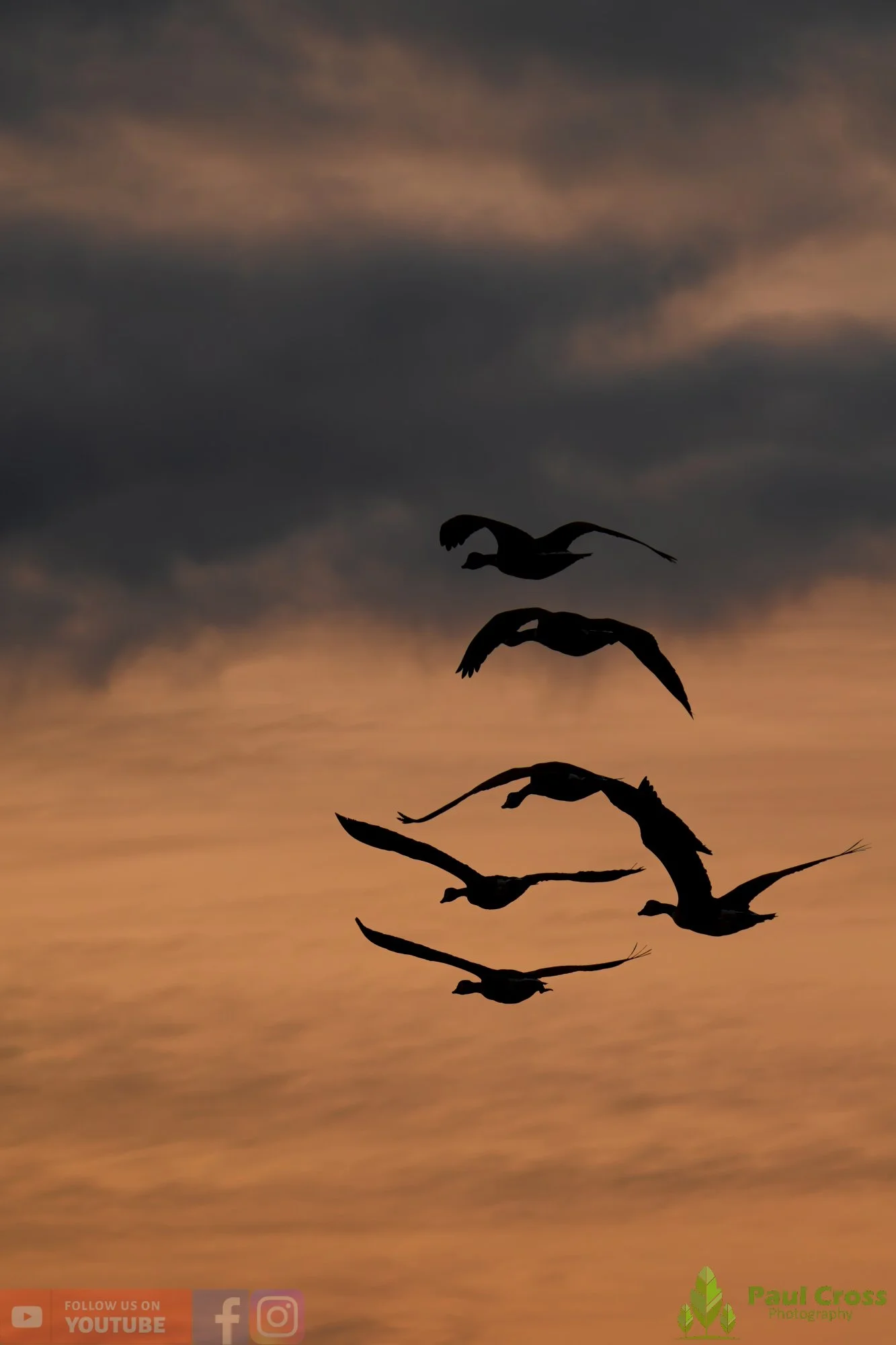 Canada Goose-00136.jpg
