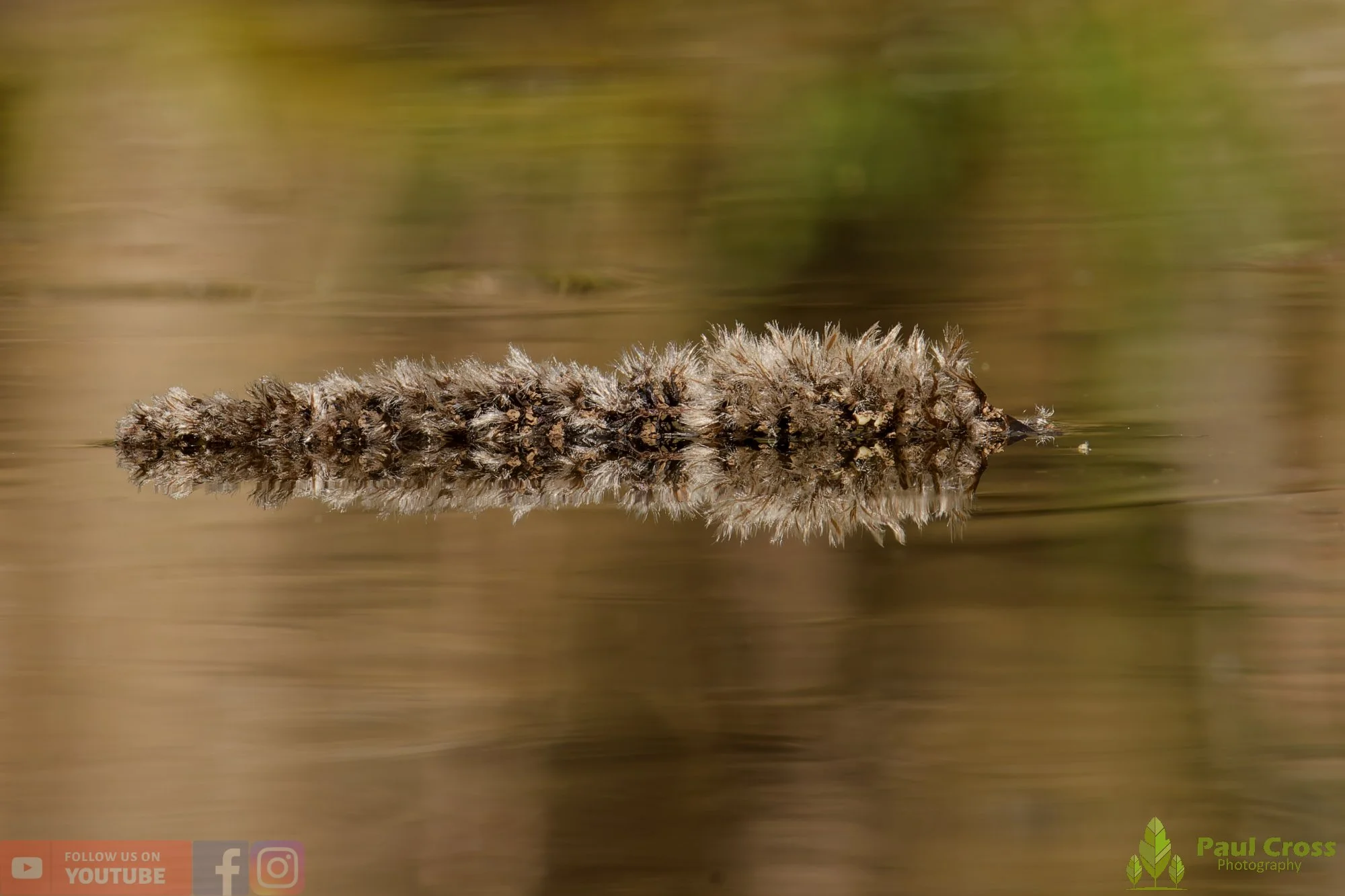 Water-00025.jpg