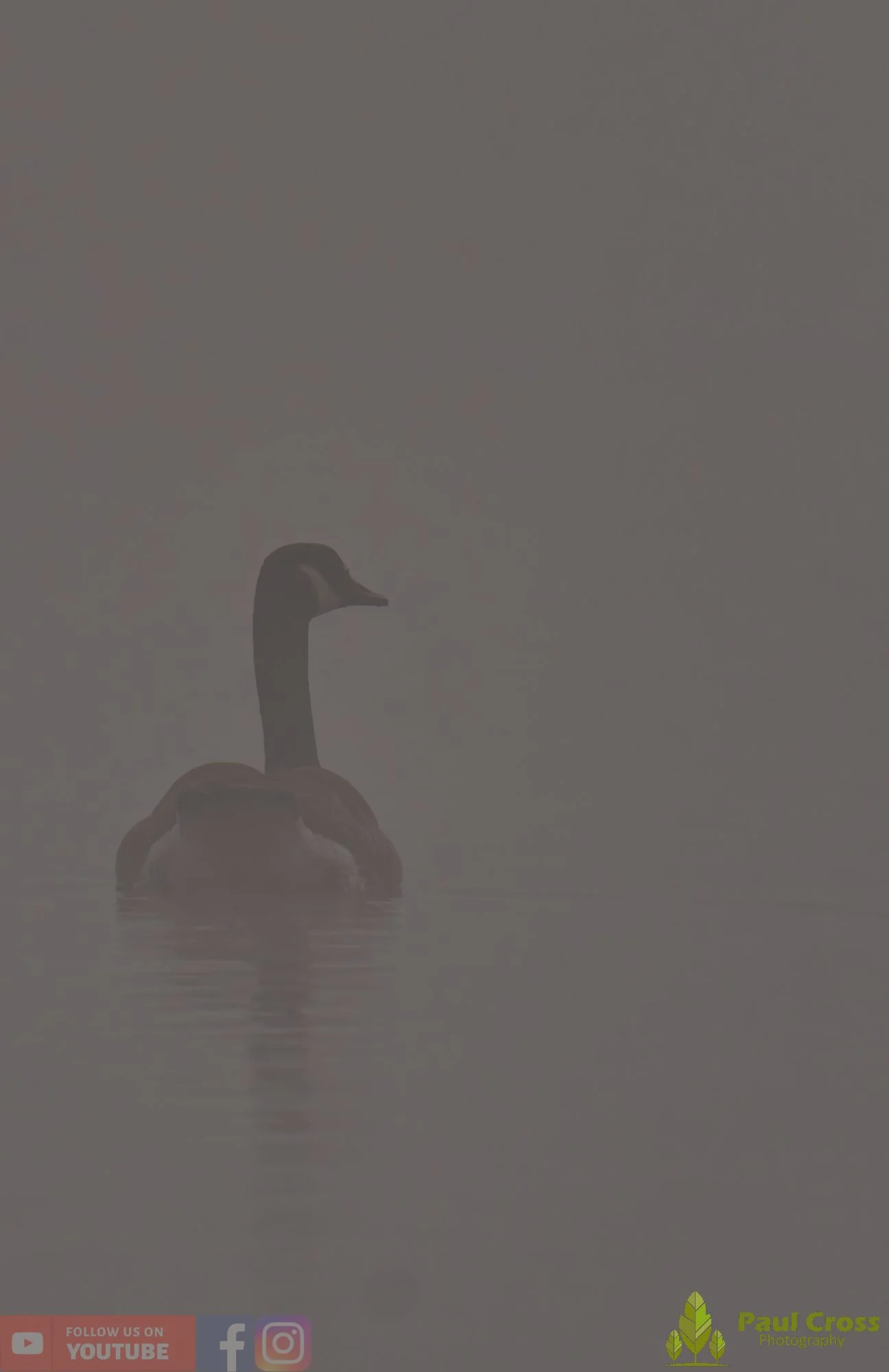 Canada Goose-00138.jpg