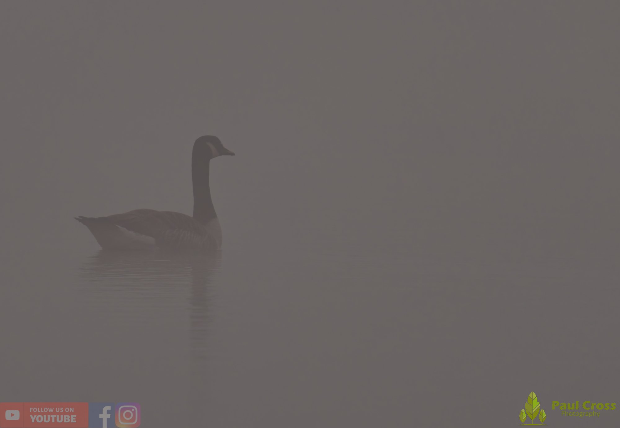 Canada Goose-00139.jpg
