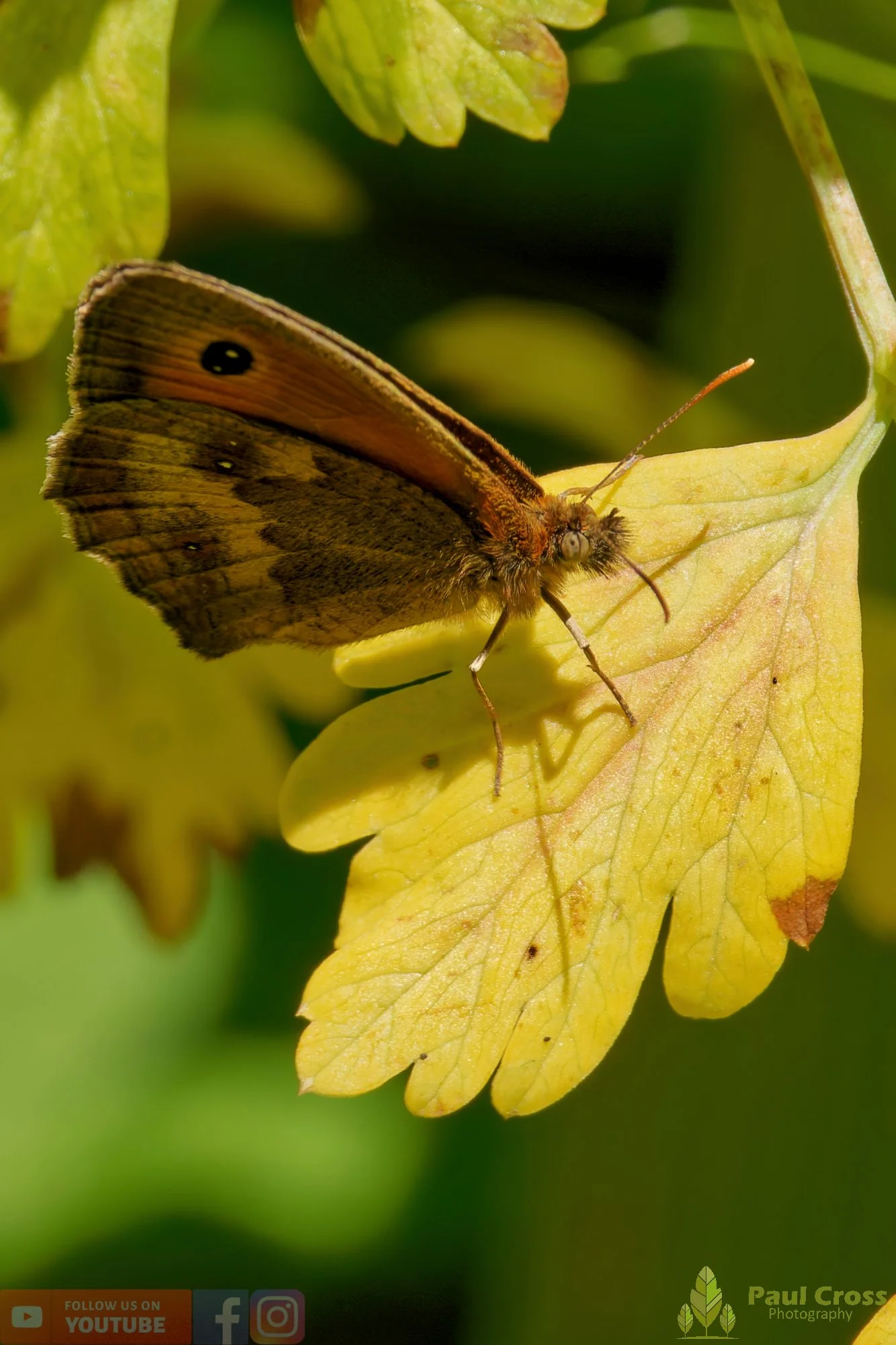 Gatekeeper-00019.jpg