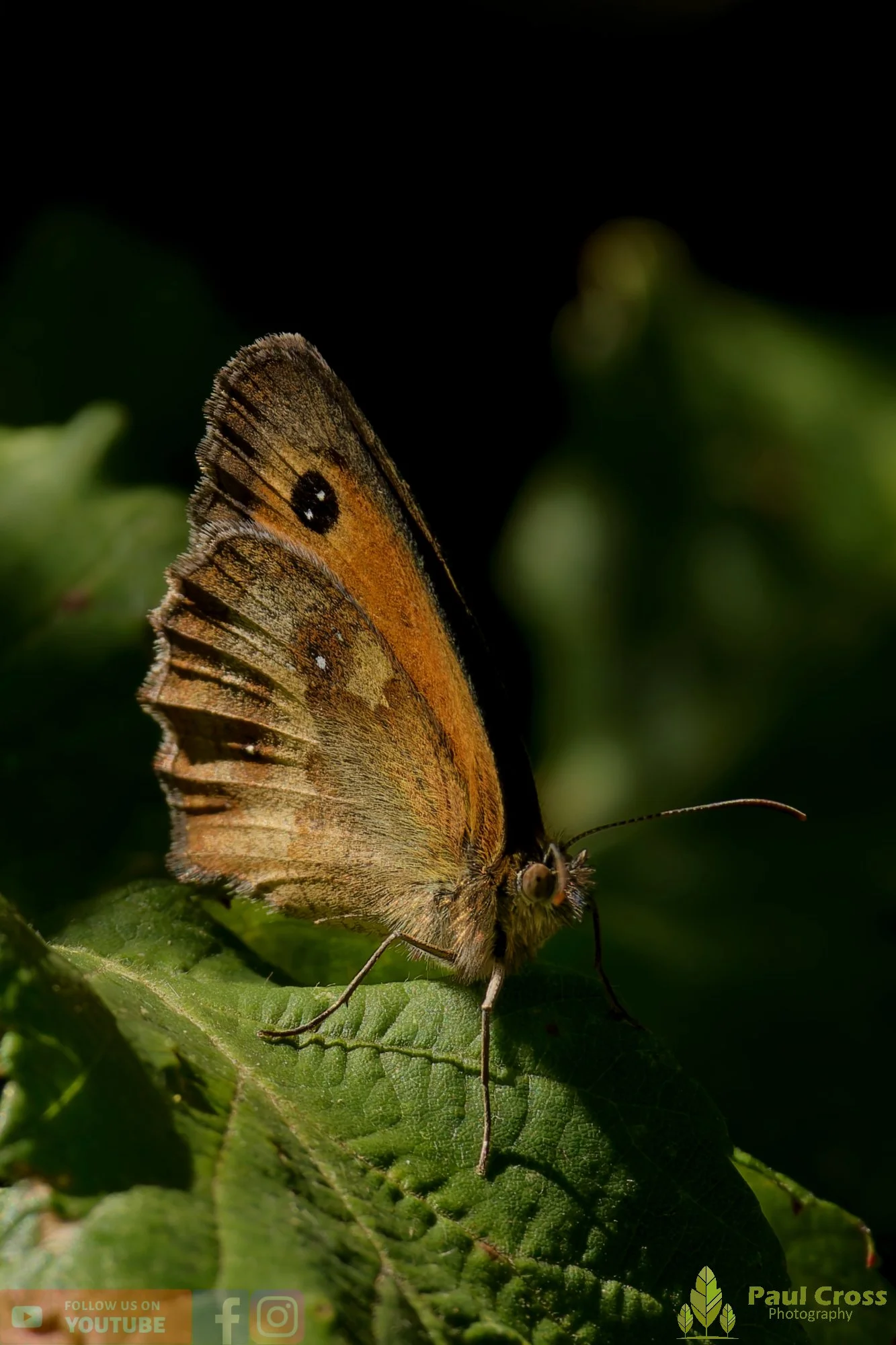 Gatekeeper-00017.jpg