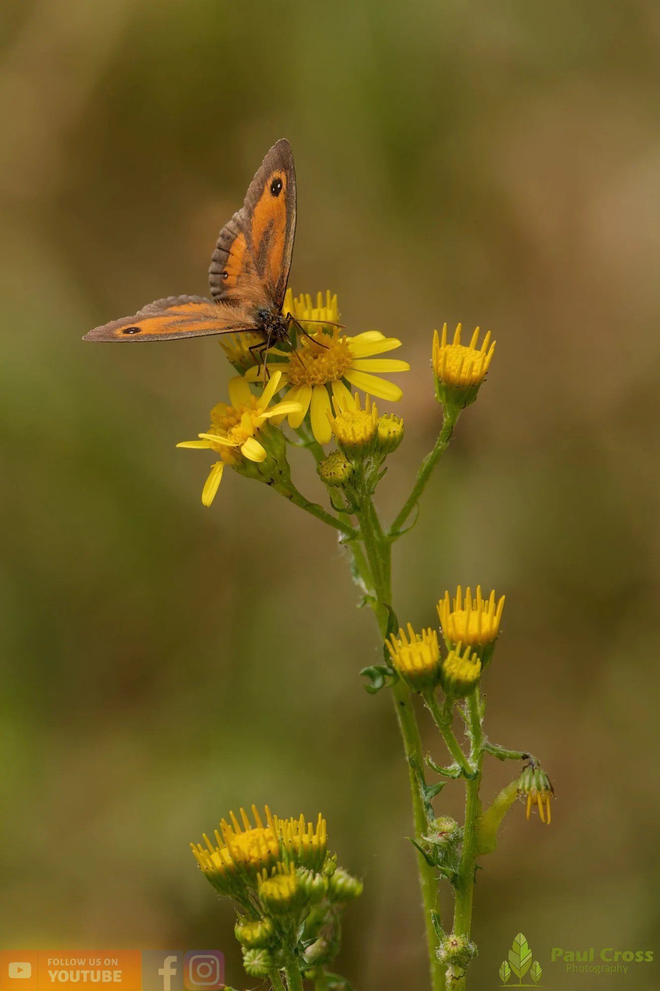 Gatekeeper-00020.jpg