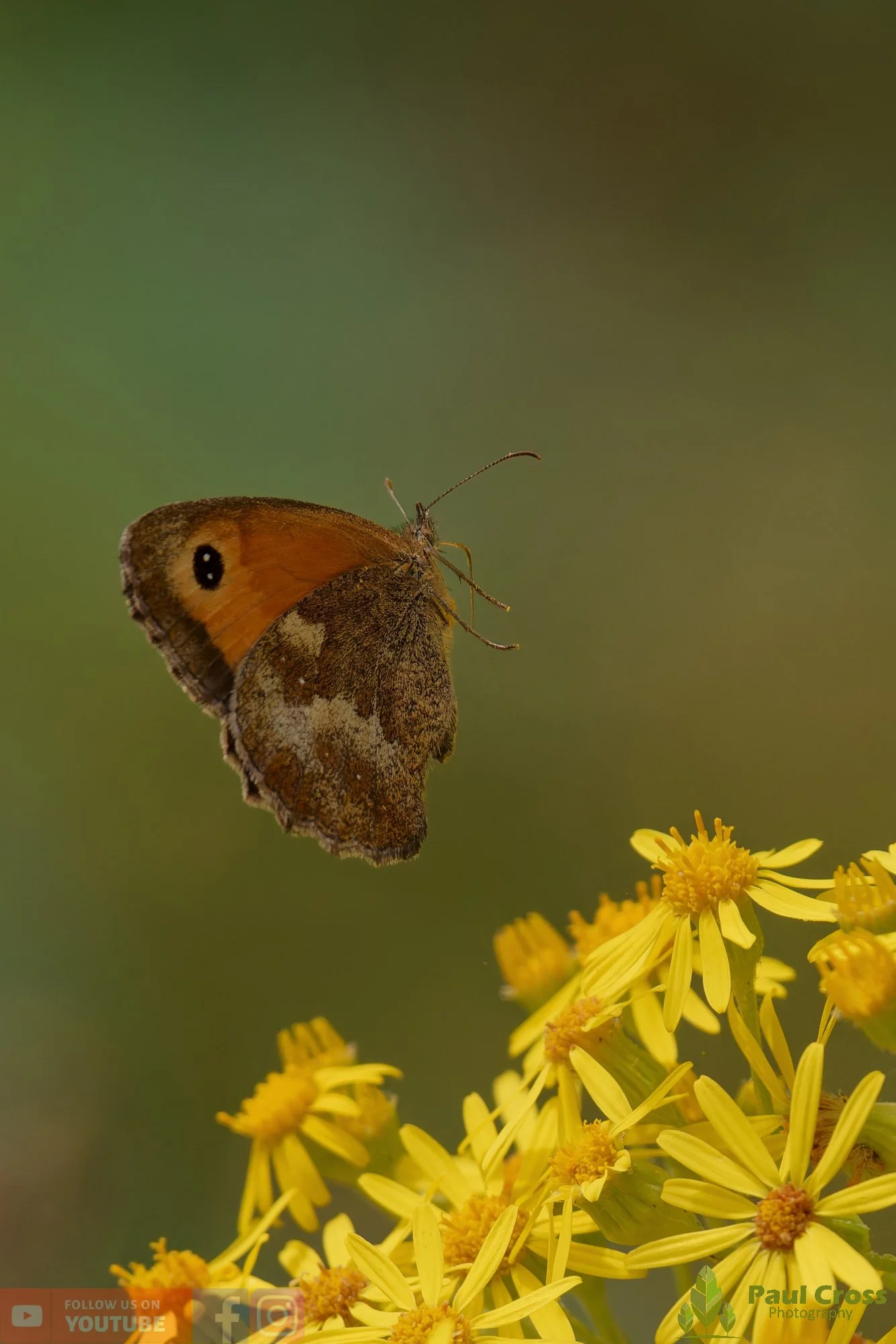 Gatekeeper-00021.jpg
