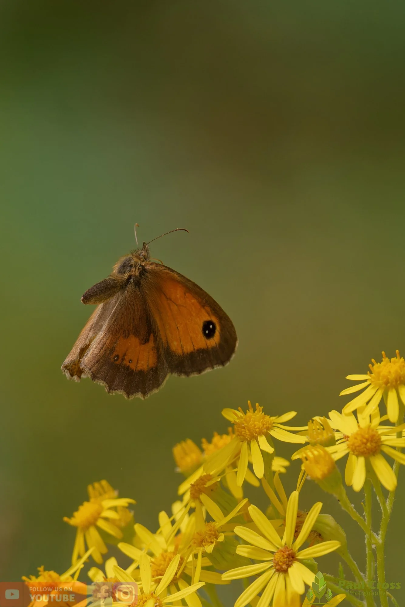 Gatekeeper-00022.jpg