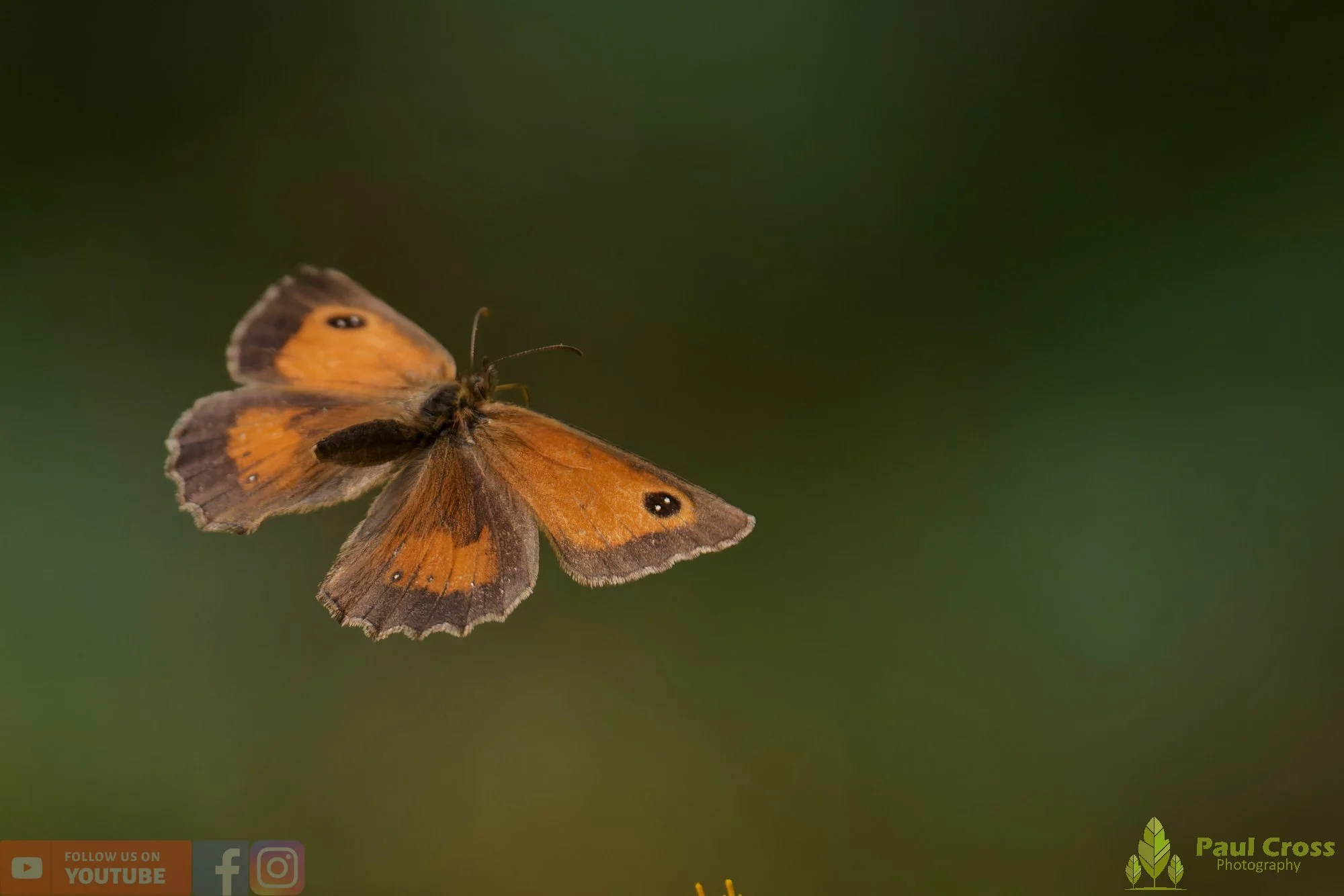 Gatekeeper-00023.jpg