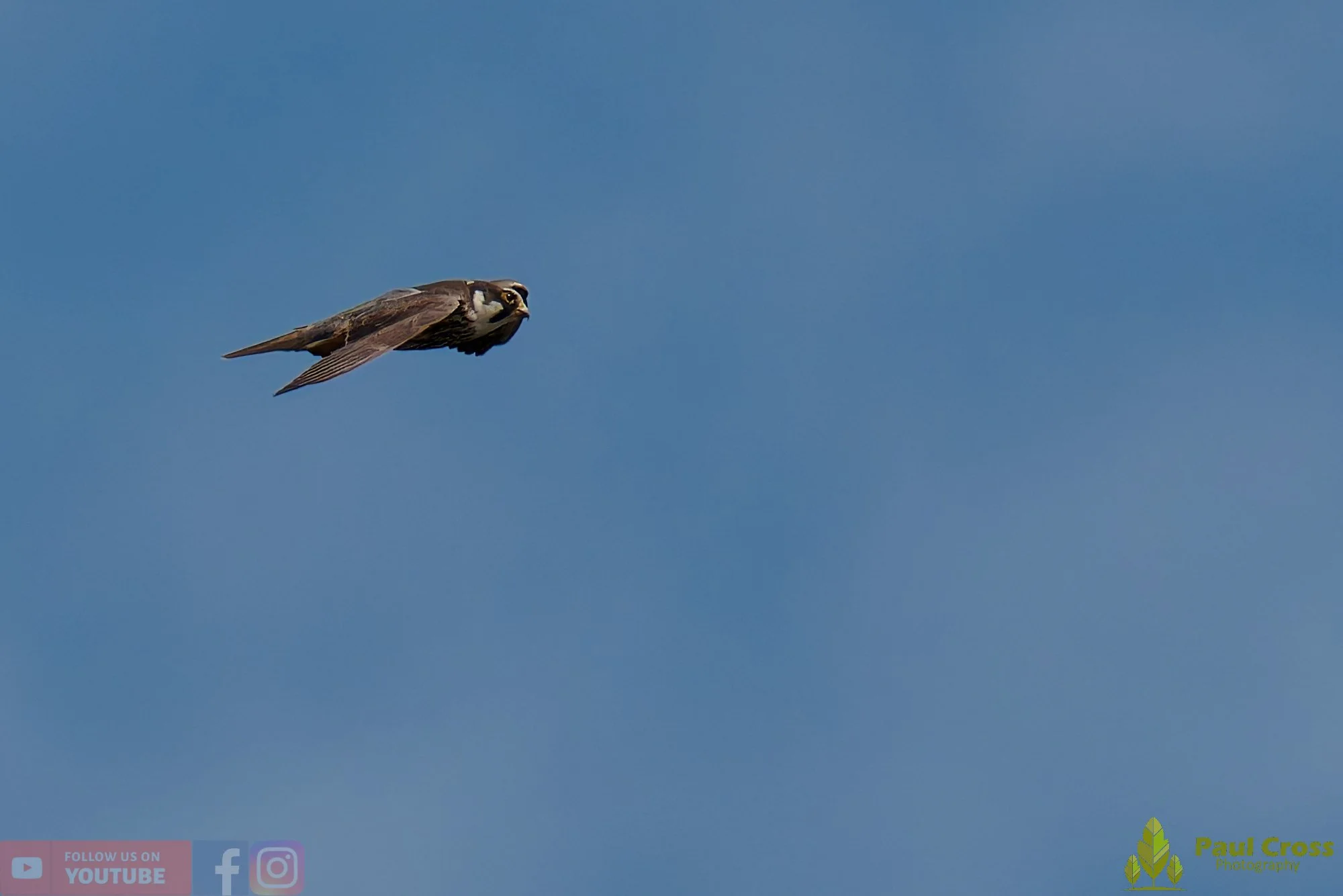Hobby-00024.jpg