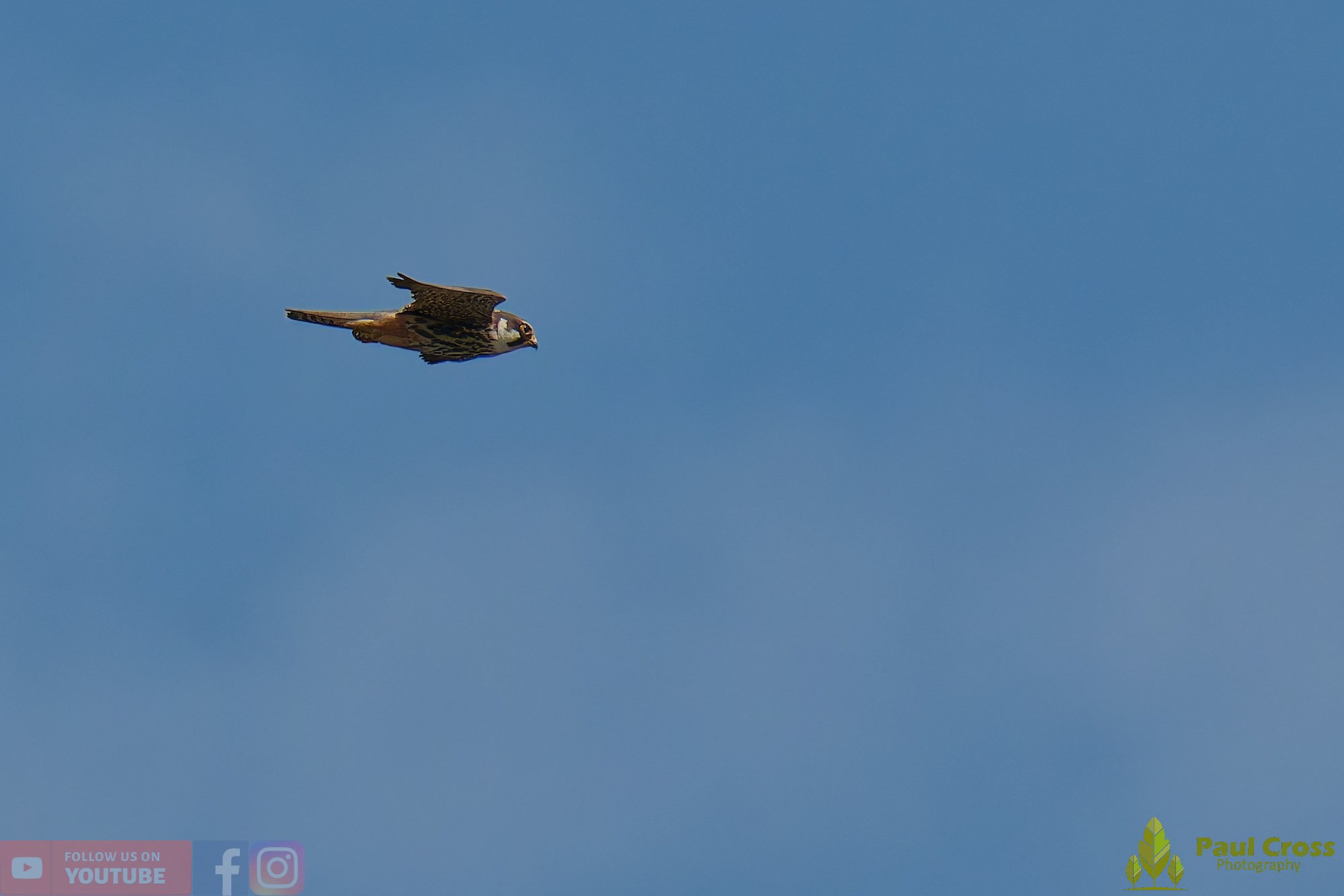 Hobby-00023.jpg