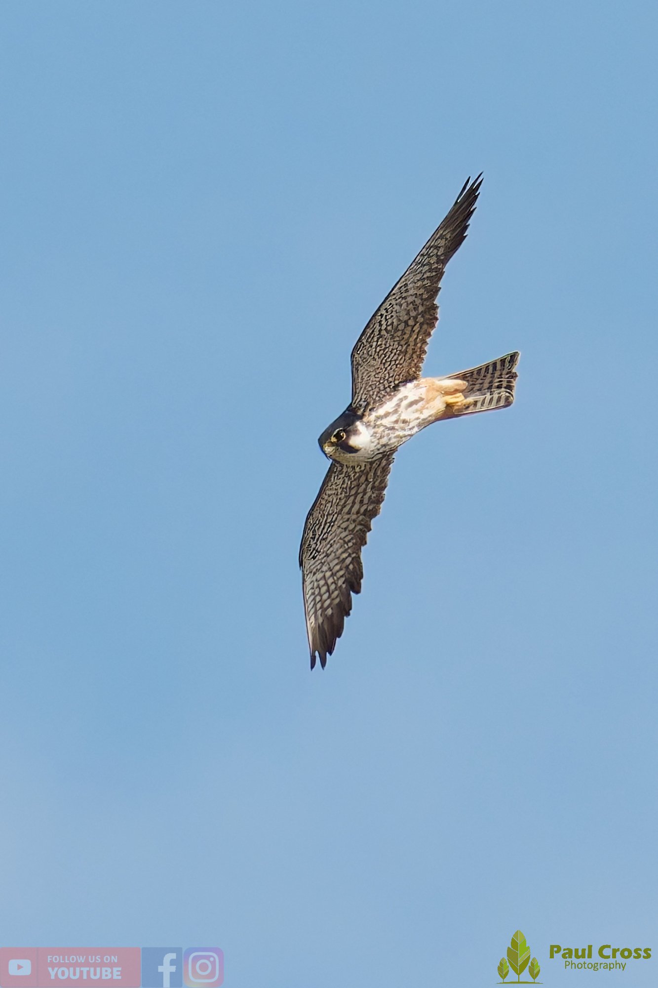 Hobby-00025.jpg