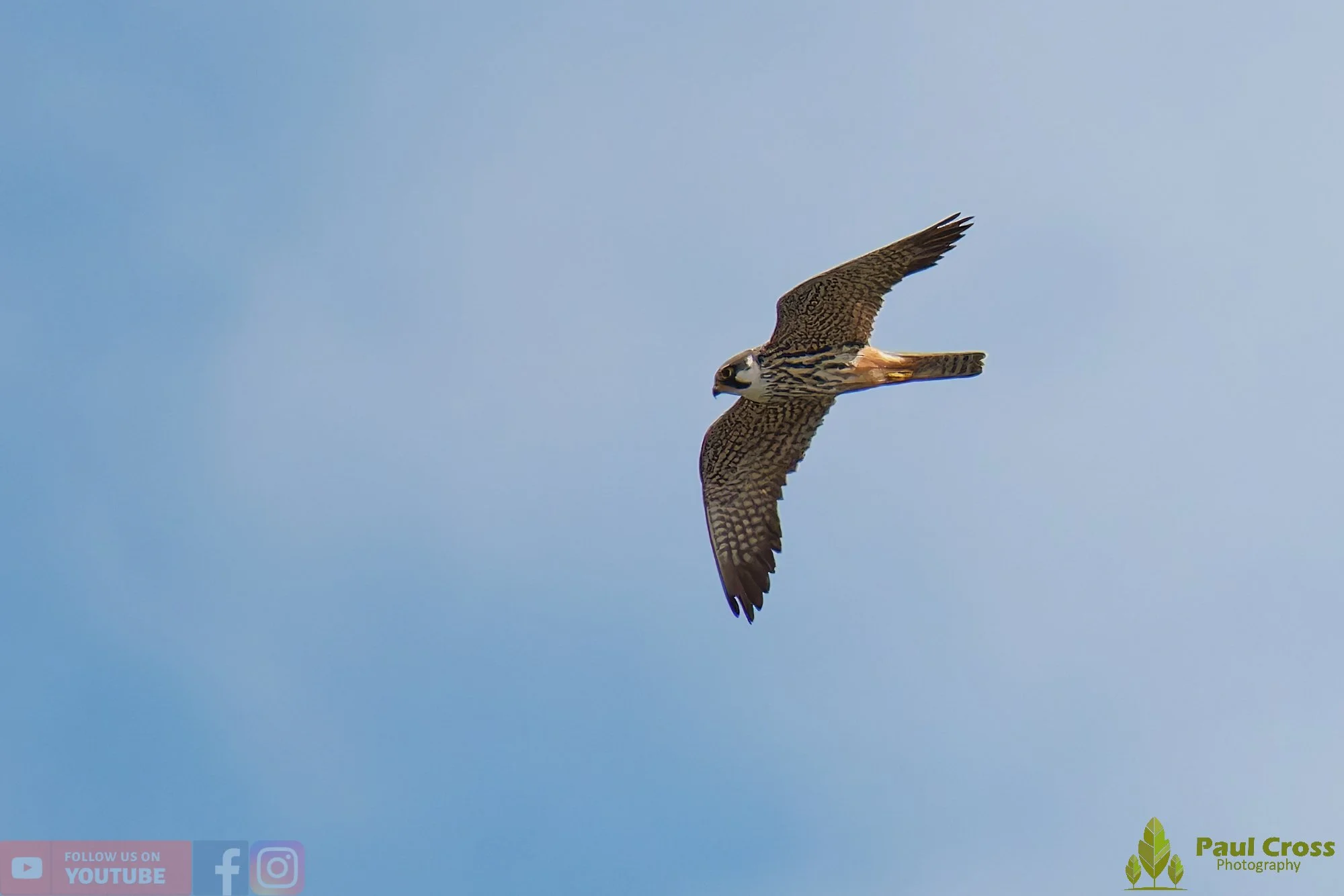 Hobby-00026.jpg