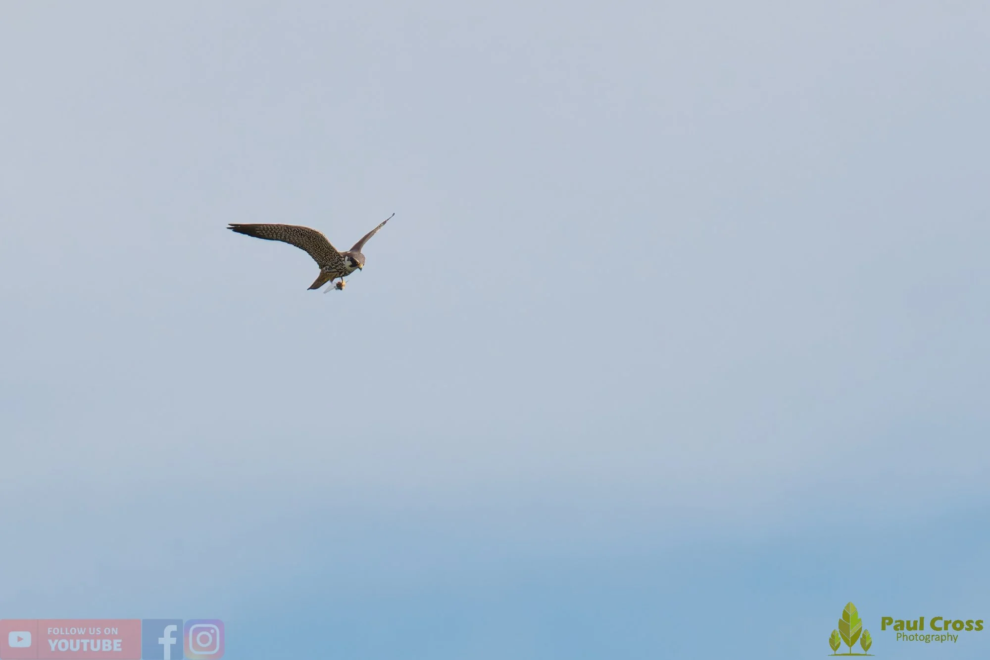 Hobby-00027.jpg