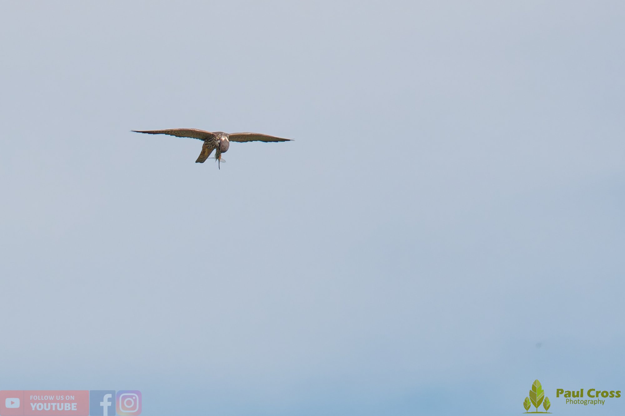 Hobby-00028.jpg