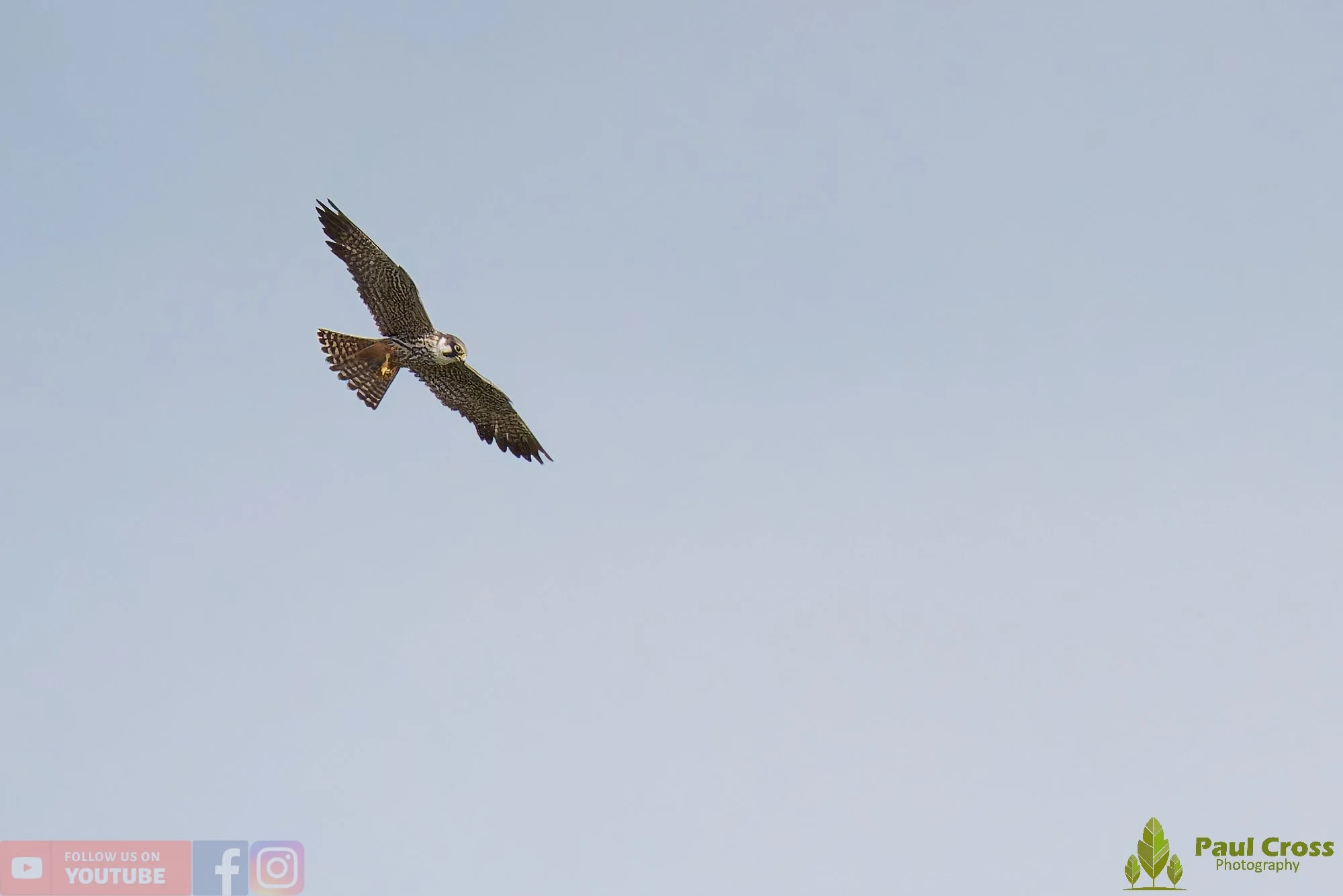 Hobby-00029.jpg