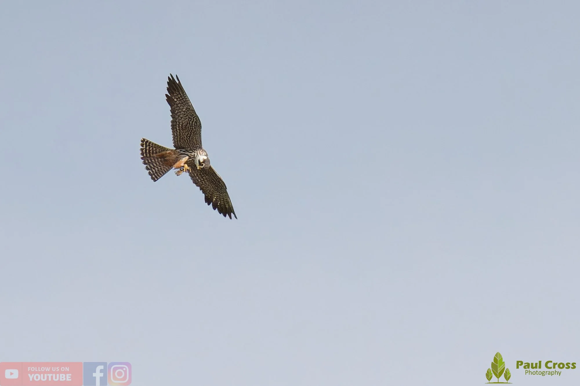 Hobby-00030.jpg