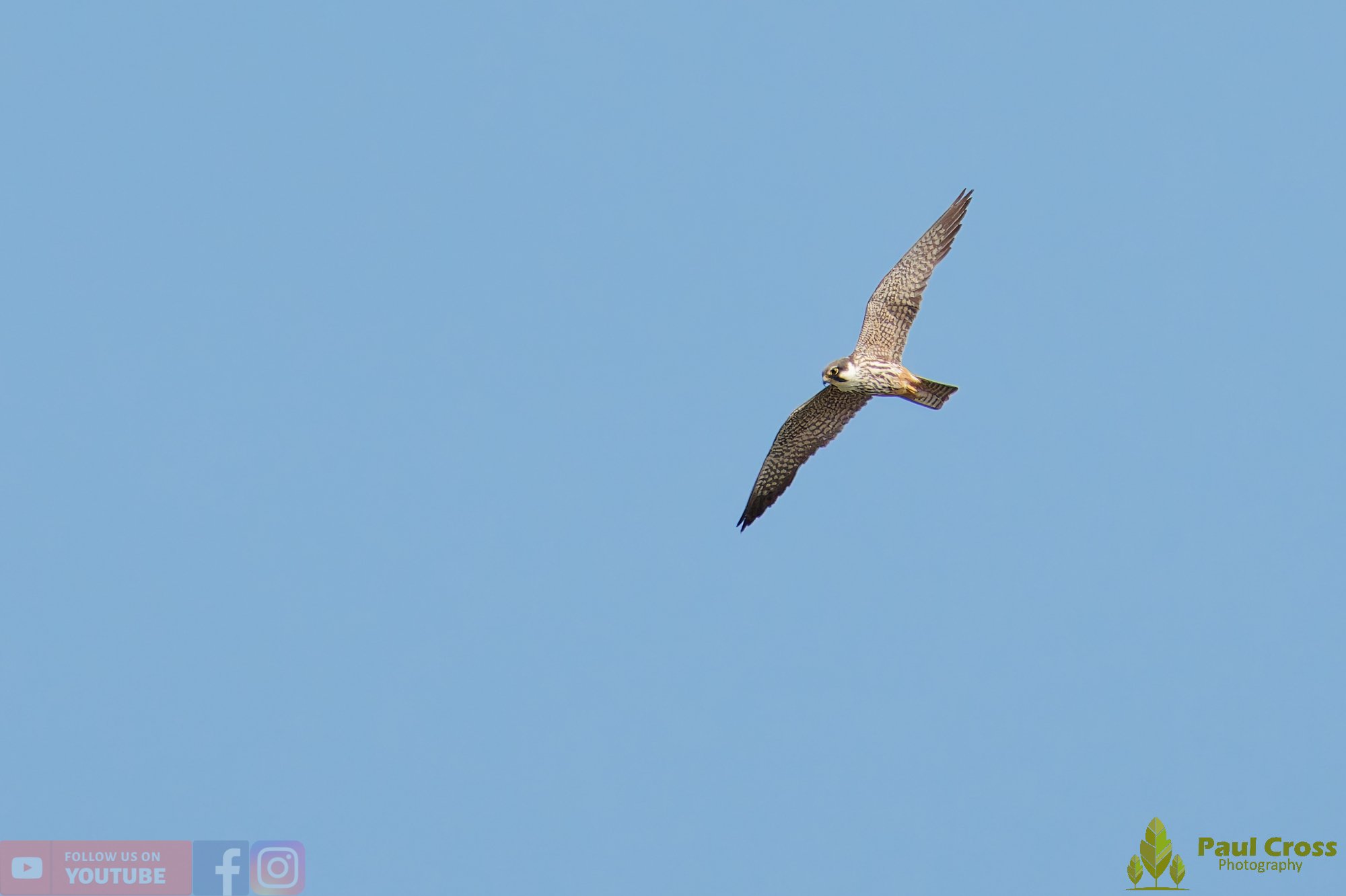 Hobby-00031.jpg