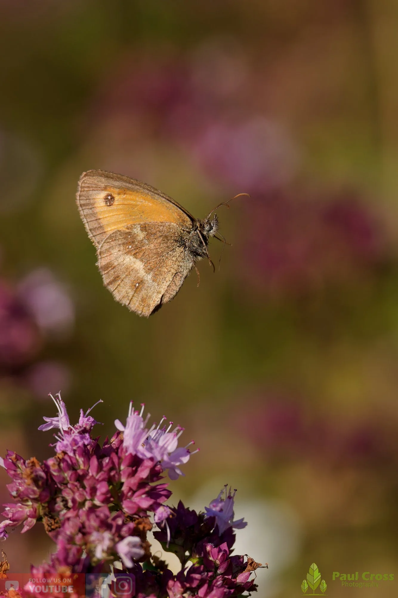 Gatekeeper-00027.jpg