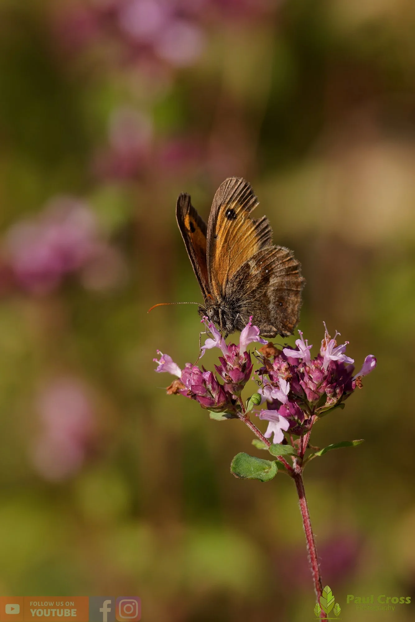 Gatekeeper-00024.jpg