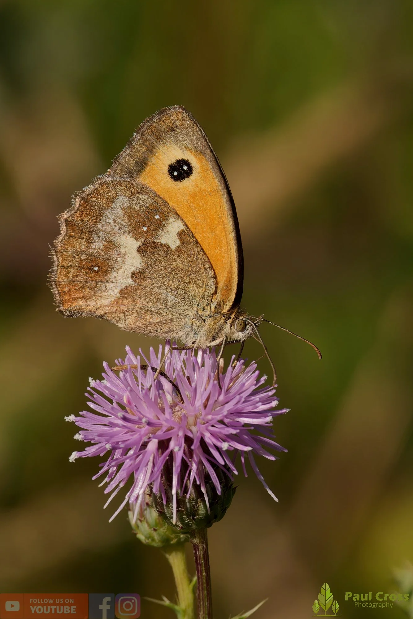 Gatekeeper-00028.jpg
