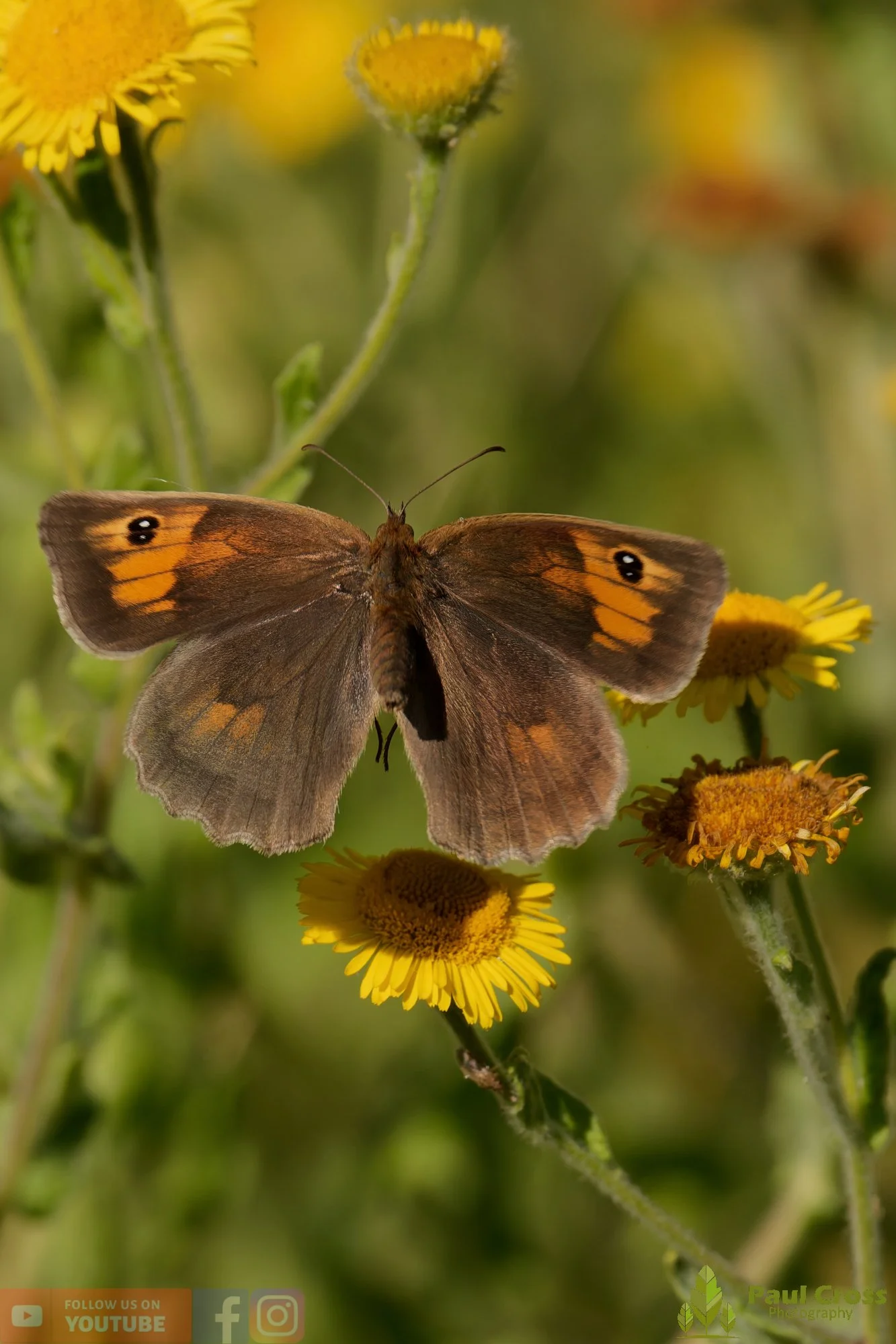 Gatekeeper-00029.jpg