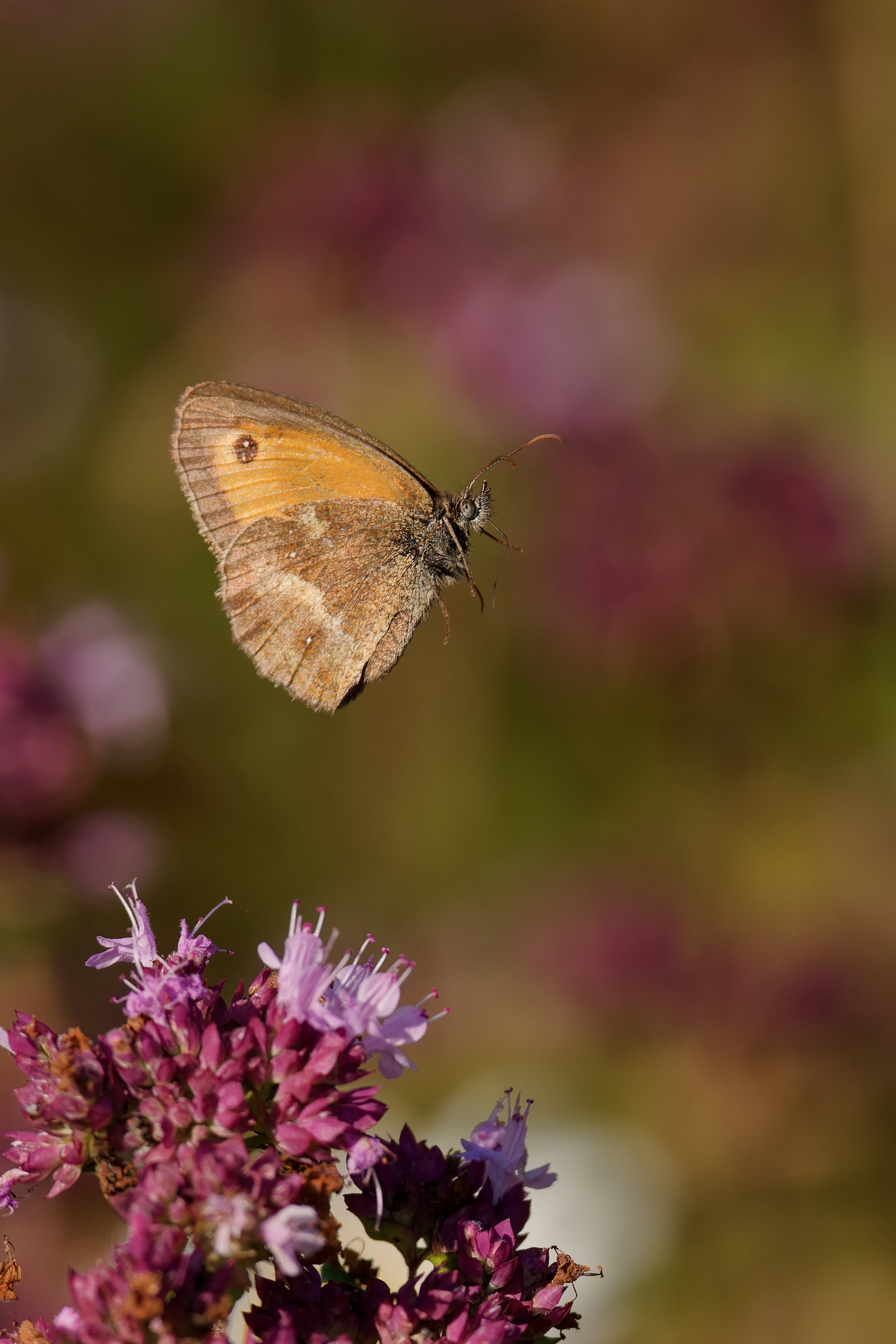 Gatekeeper