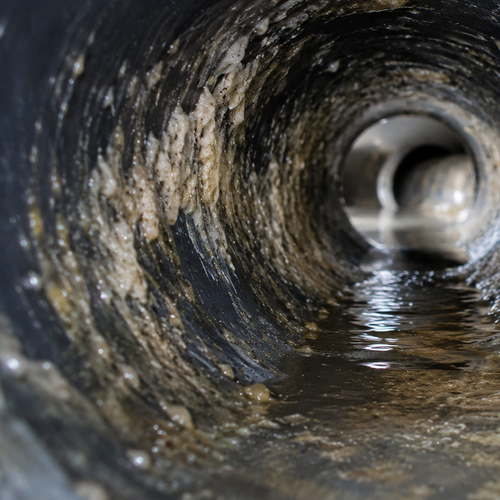 greasy soap residue coating dark plastic pipe interior