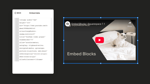 How to Use the Squarespace Embed Block: A Beginner’s Guide