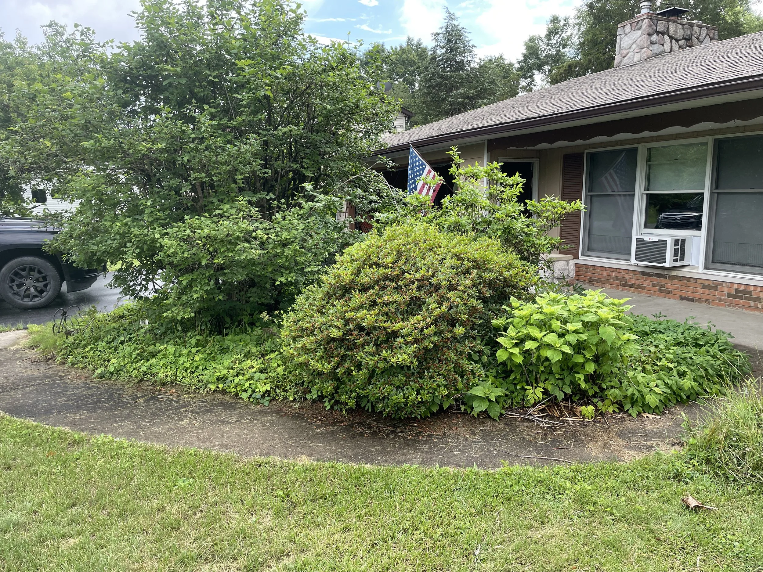 Restore Outdoor Yard, Landscaper, Landscaping, Maintenance Service