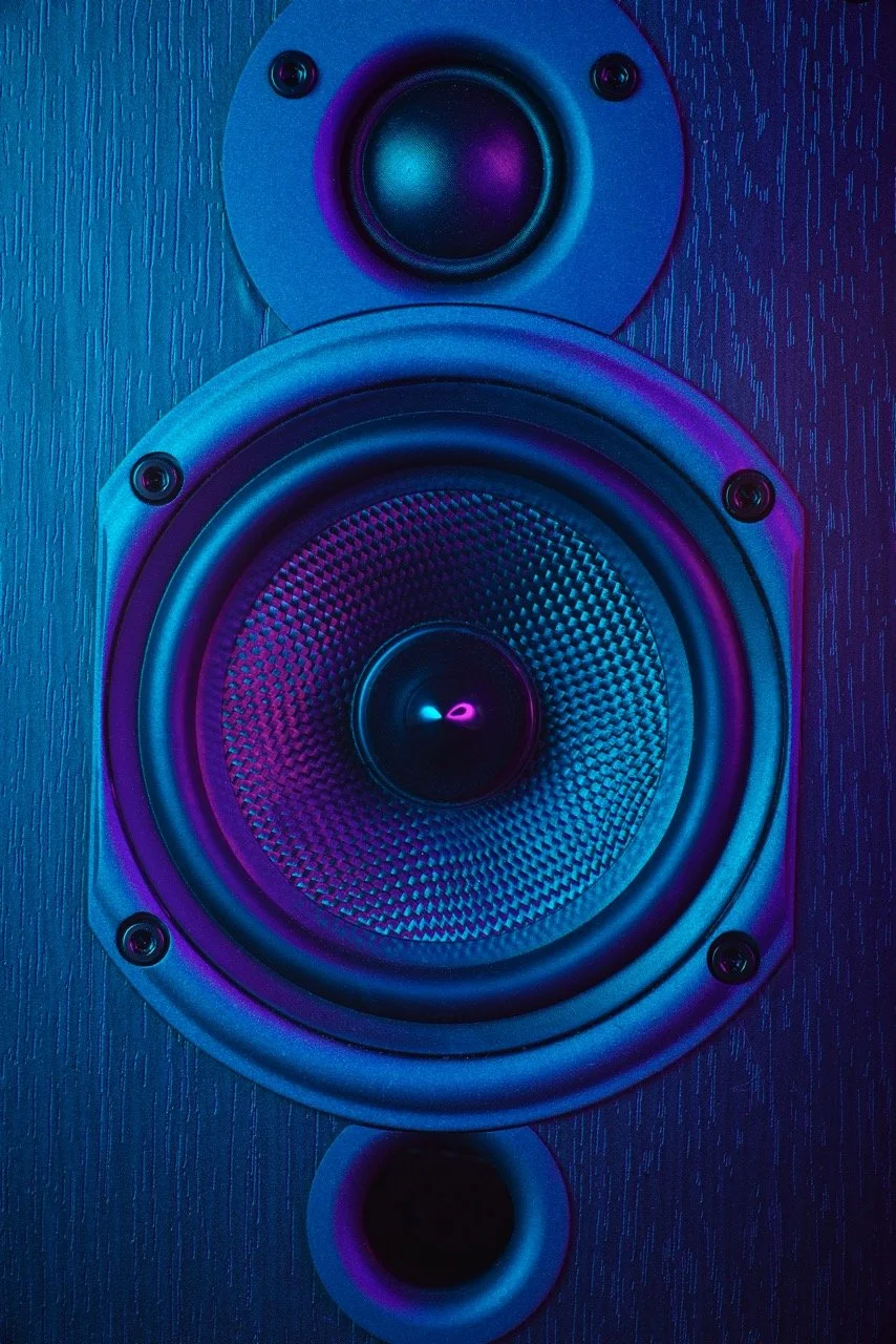 Speakers Wharfdale 6412_2500 Large.jpeg