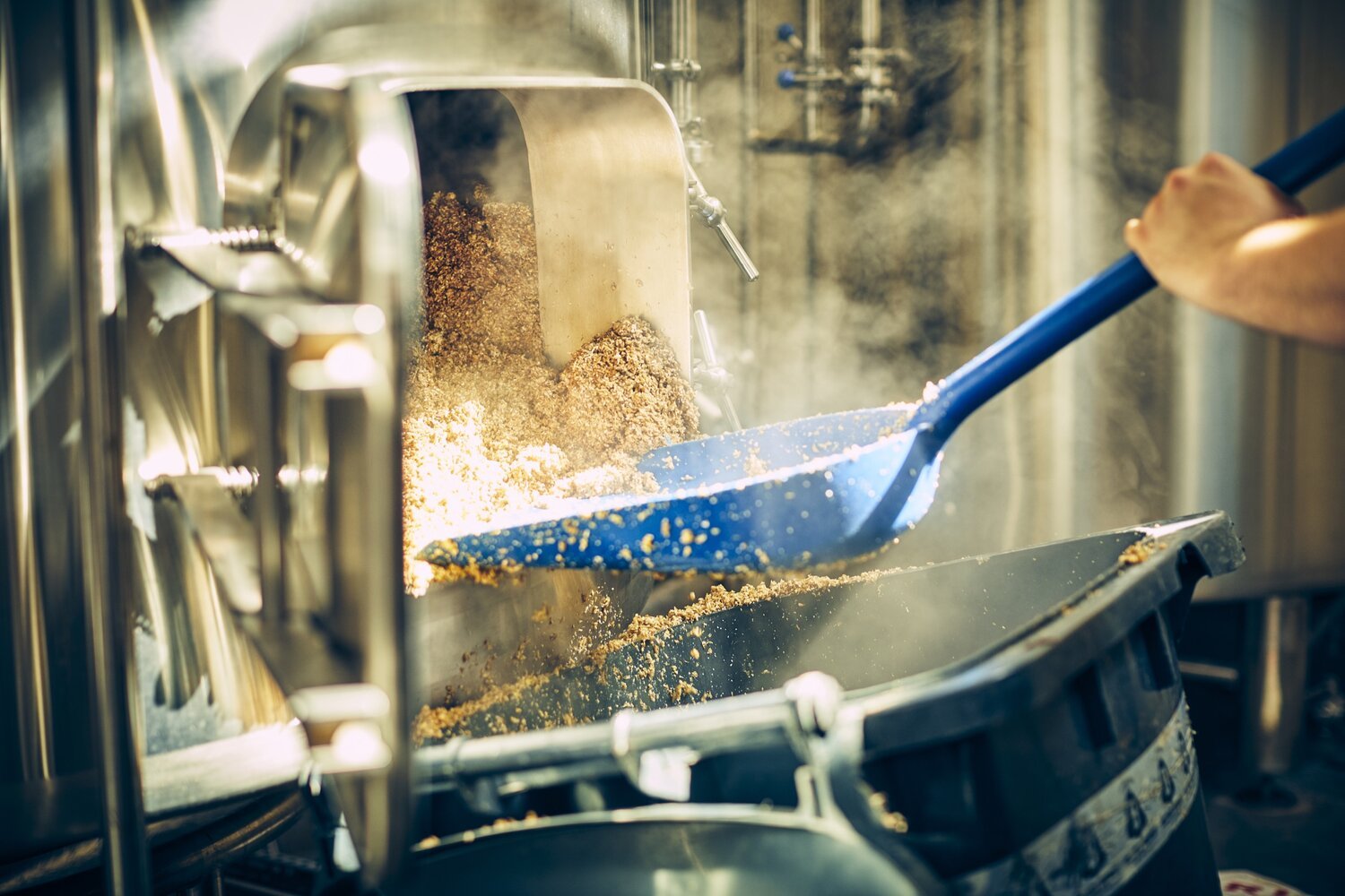 Bellfield+BREWHOUSE+Shoot+0639+copy_2500.jpg