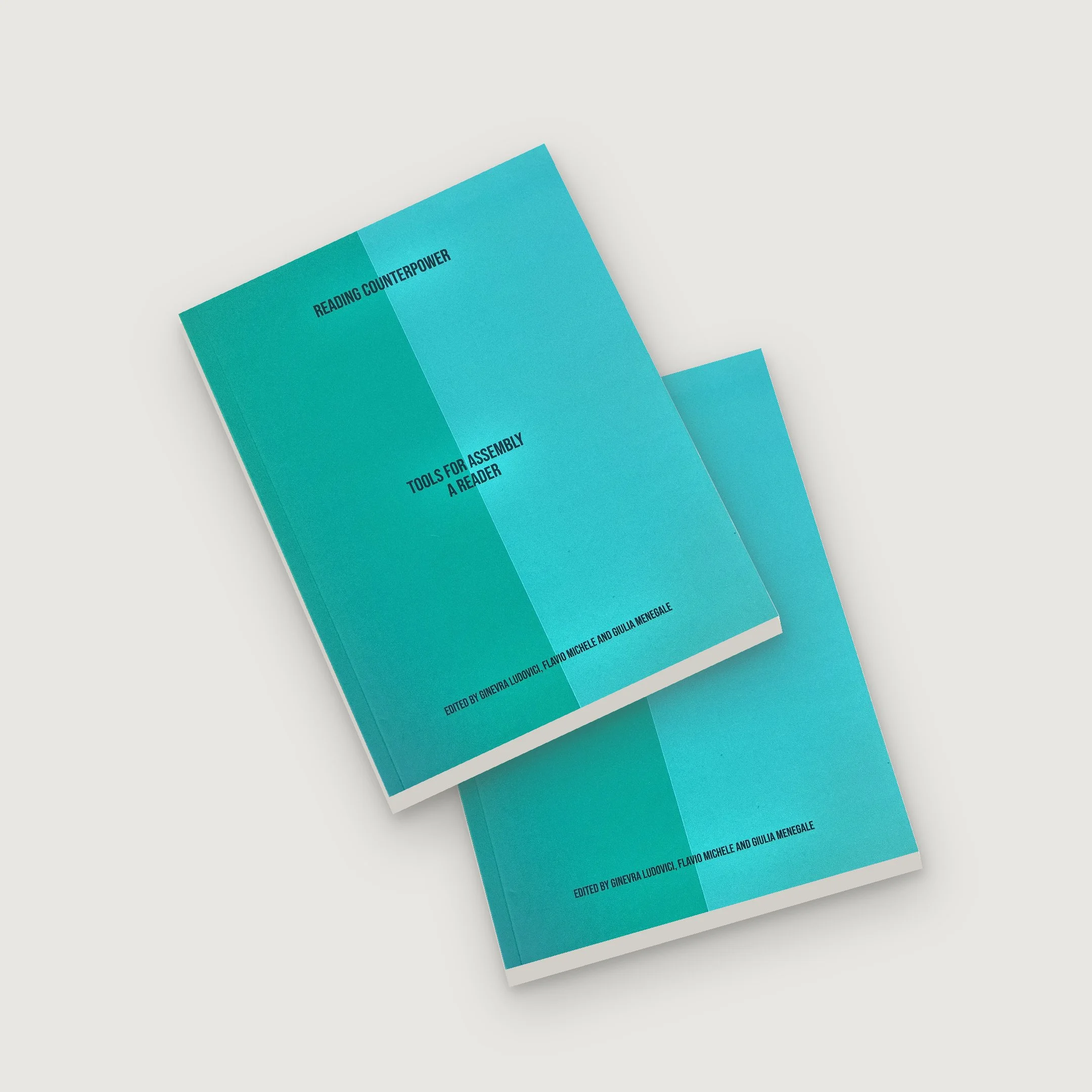 Co-curator of publication and public program 