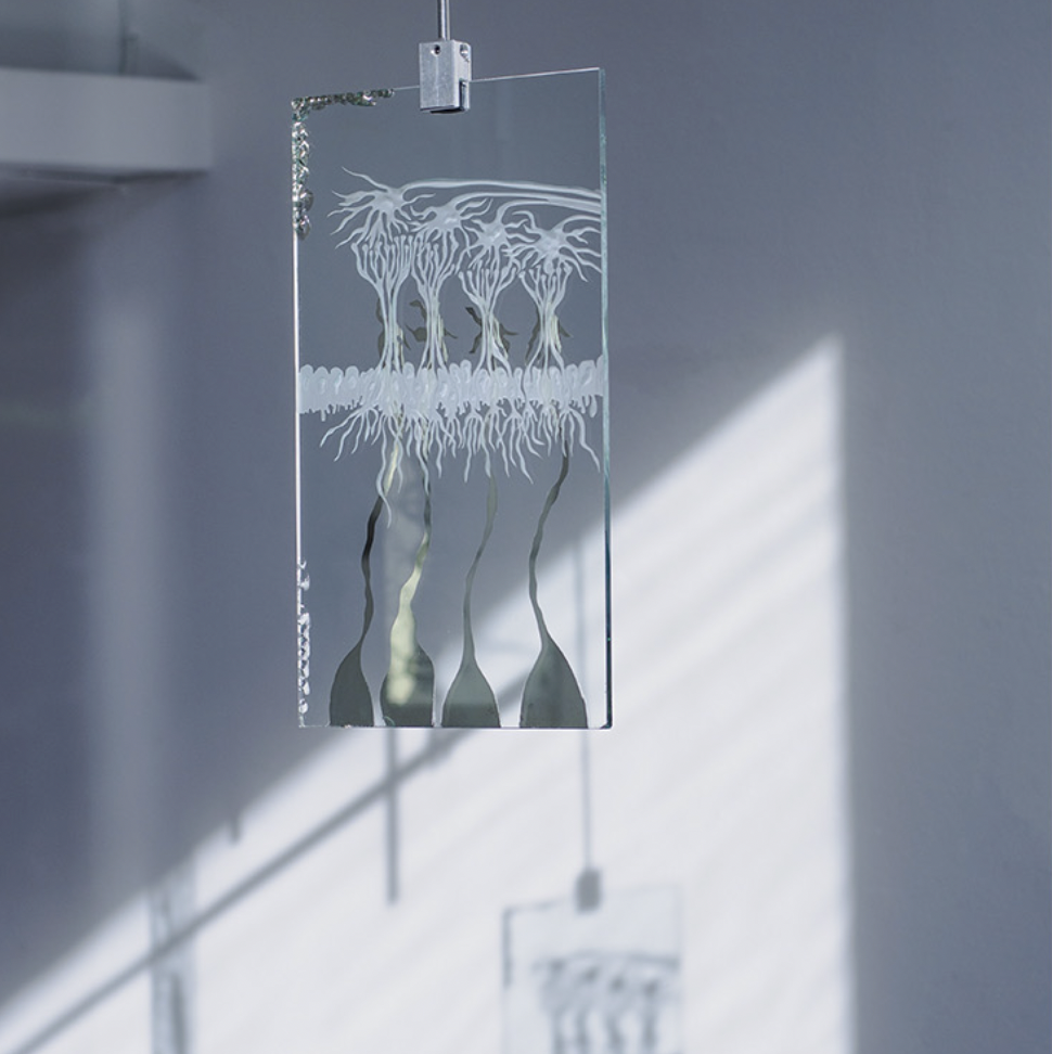 Critical text on Eva Zornio's work – Flash Art Italia