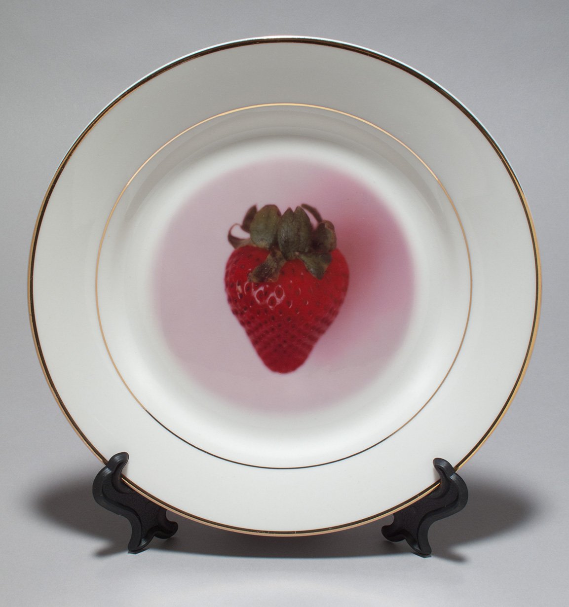 Specimens commemorative plate / 8.5" diameter