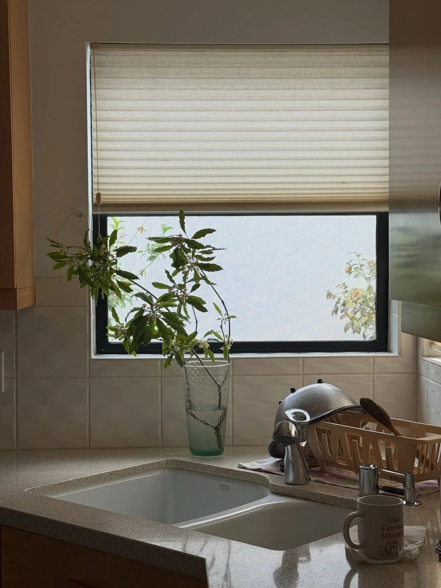 Wishing you a serene morning