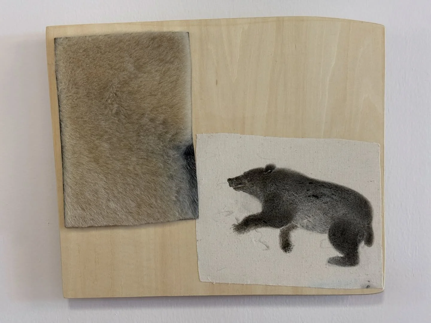 My favorite work from Postfair. Emi Otaguro with Kayokoyuki gallery from Tokyo. Small delicate paintings of ambiguous animals, with pieces of real fur. Like little poems.