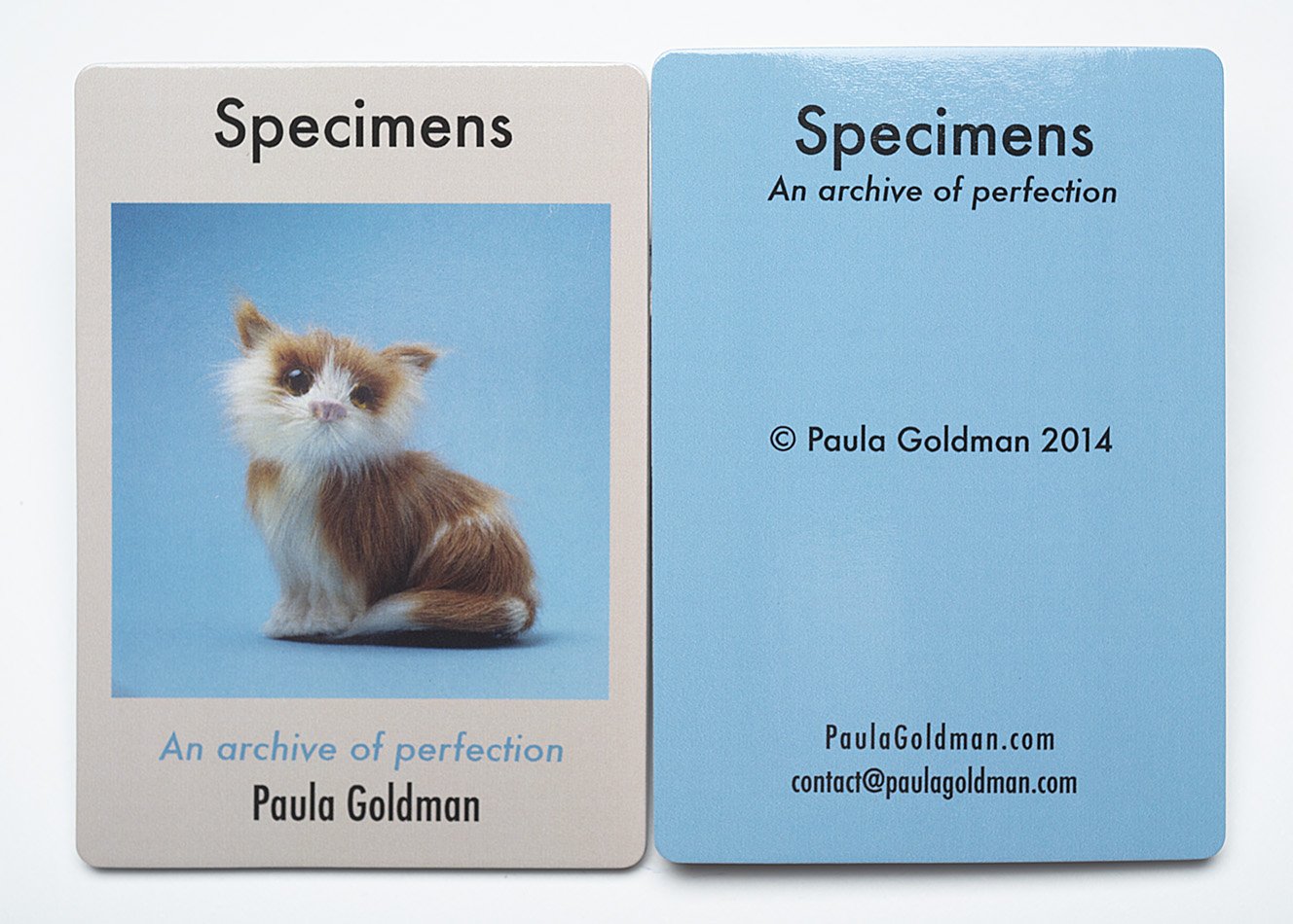 Specimens book / 3.25" x 2"
