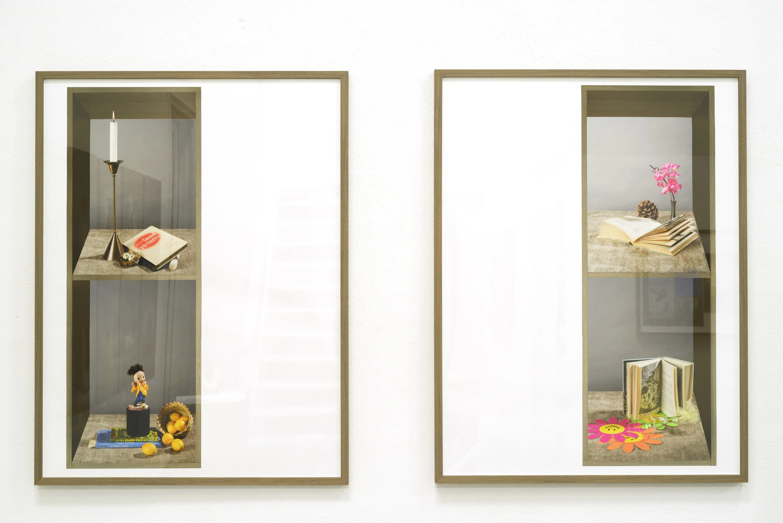 Shelf life (offset), installation view /
40" x 30" each /
archival pigment prints