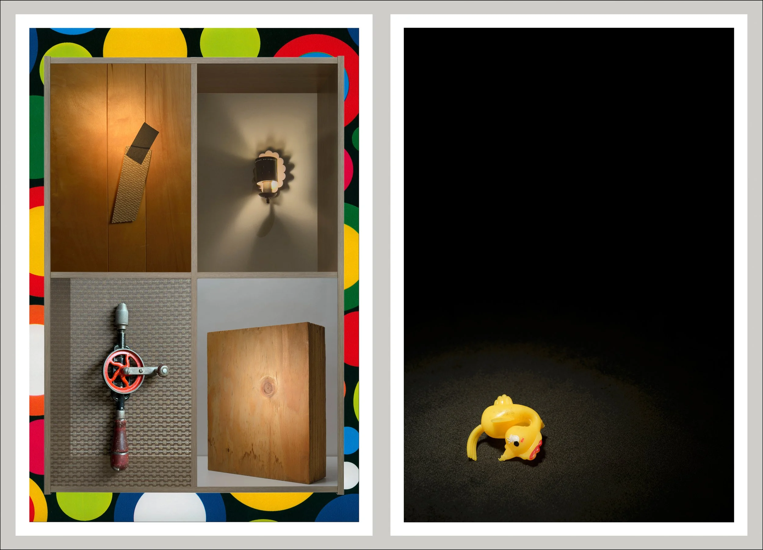 Shelf life (chicken diptych) / 19" x 26.5" / archival inkjet prints on rag paper