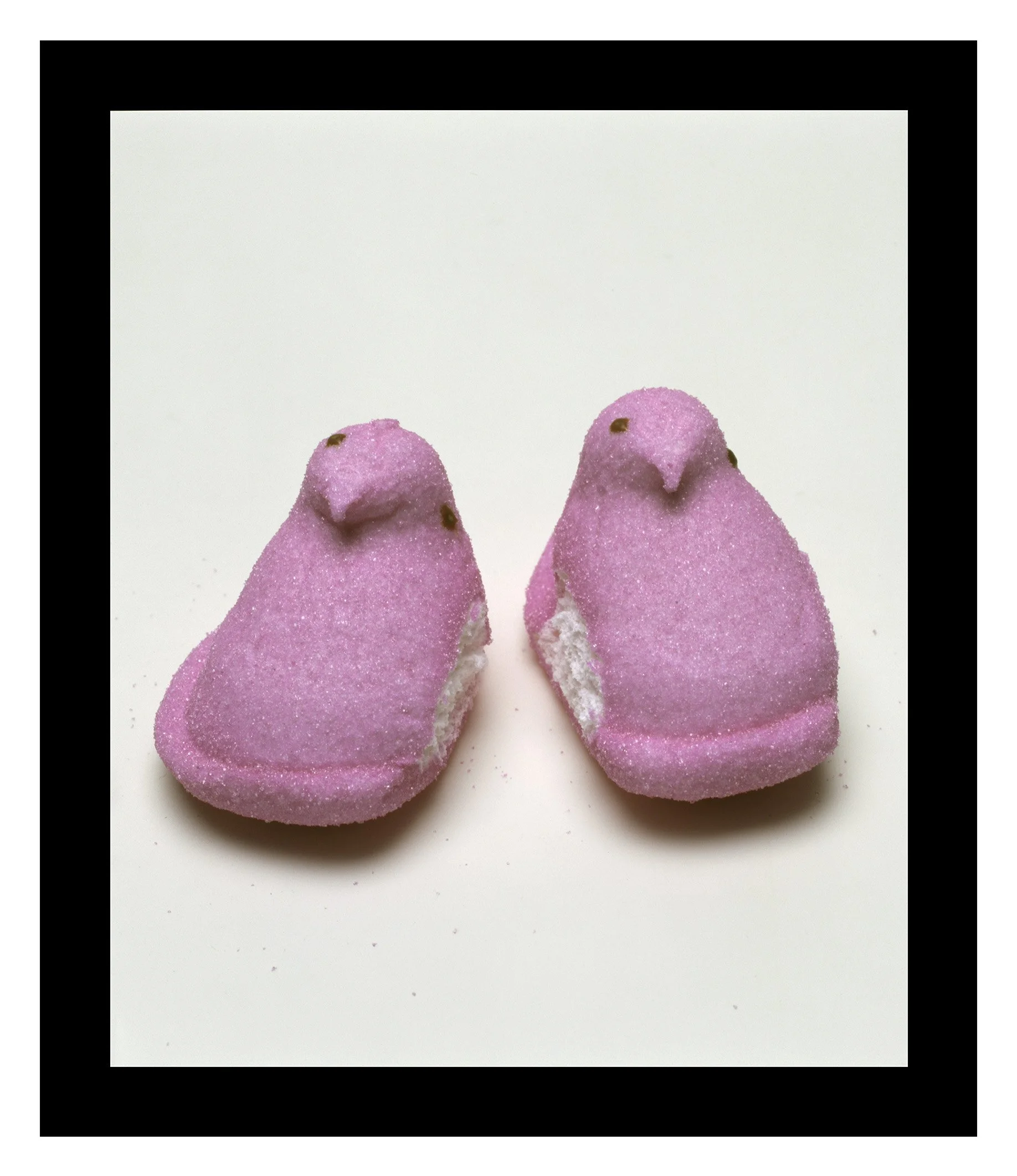Monument series (pink peeps) / pigment print on matte canvas / 29.5" x 25.5"