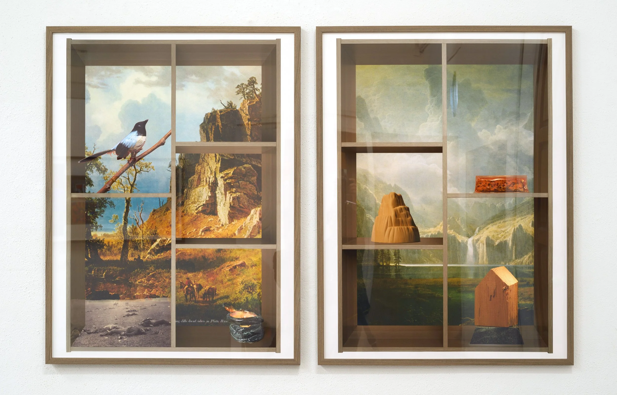 Shelf life (Bierstadt 1 and 2), installation view /
40" x 30" each /
archival pigment prints