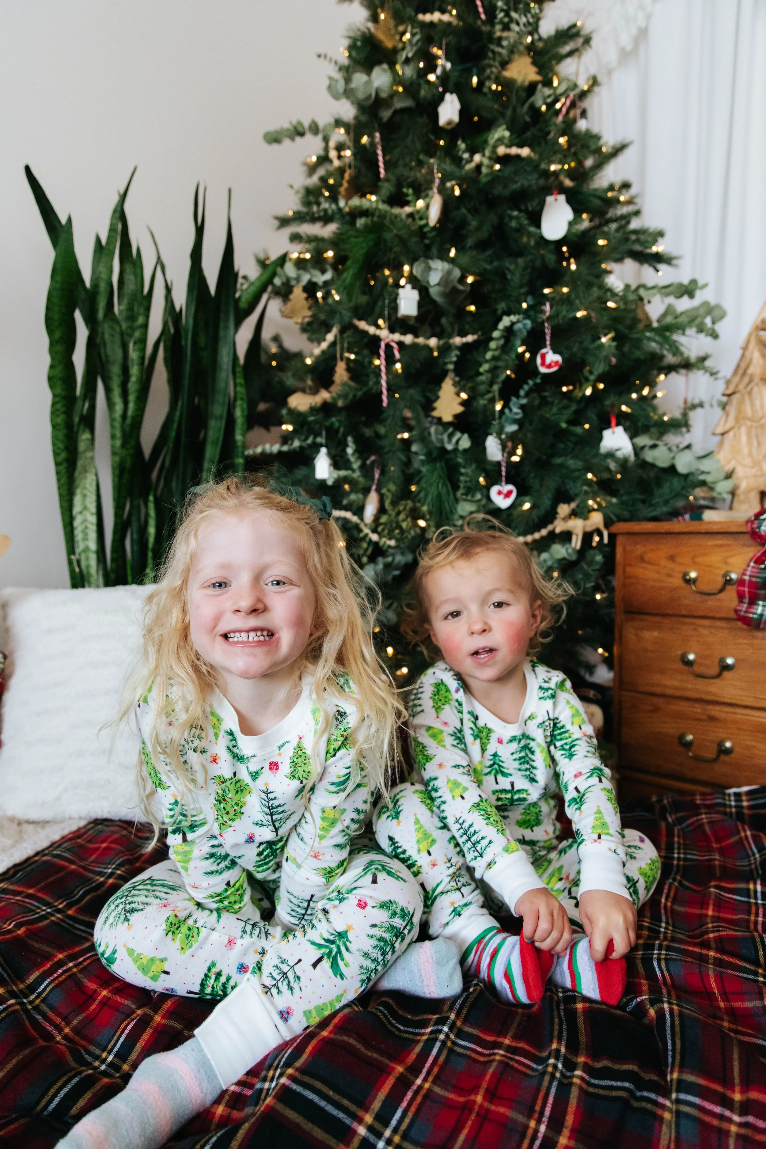 dgphotographyholidayminis2025-13.jpg