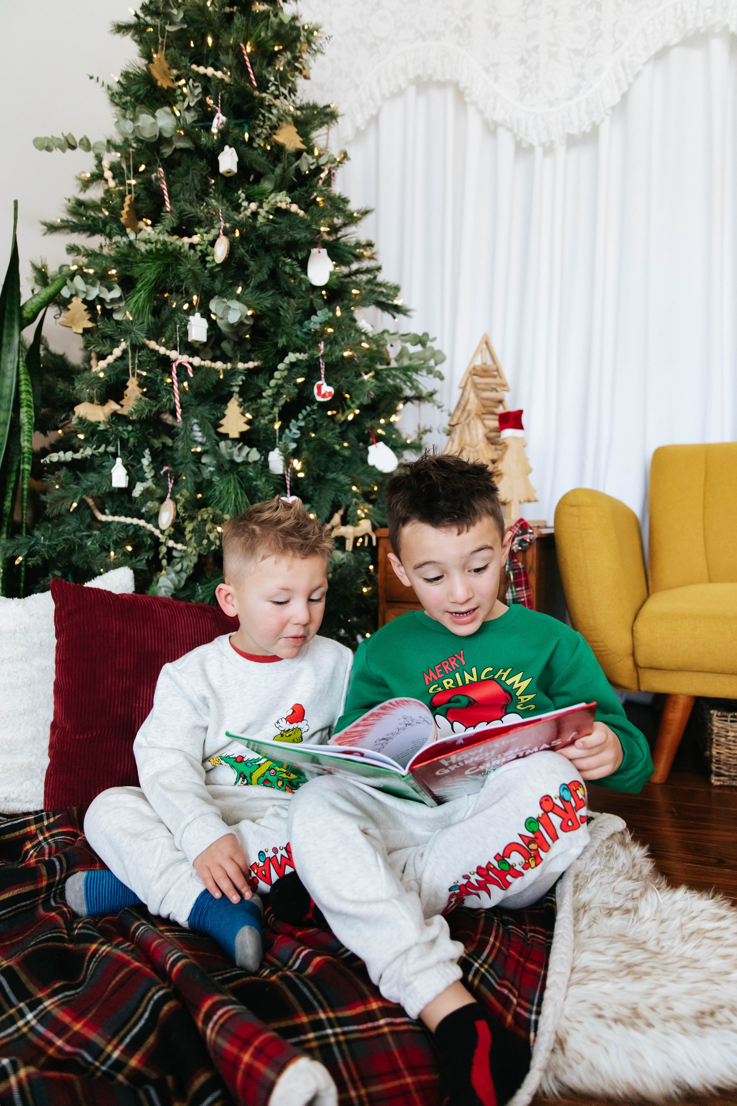 dgphotographyholidayminis2025-11.jpg