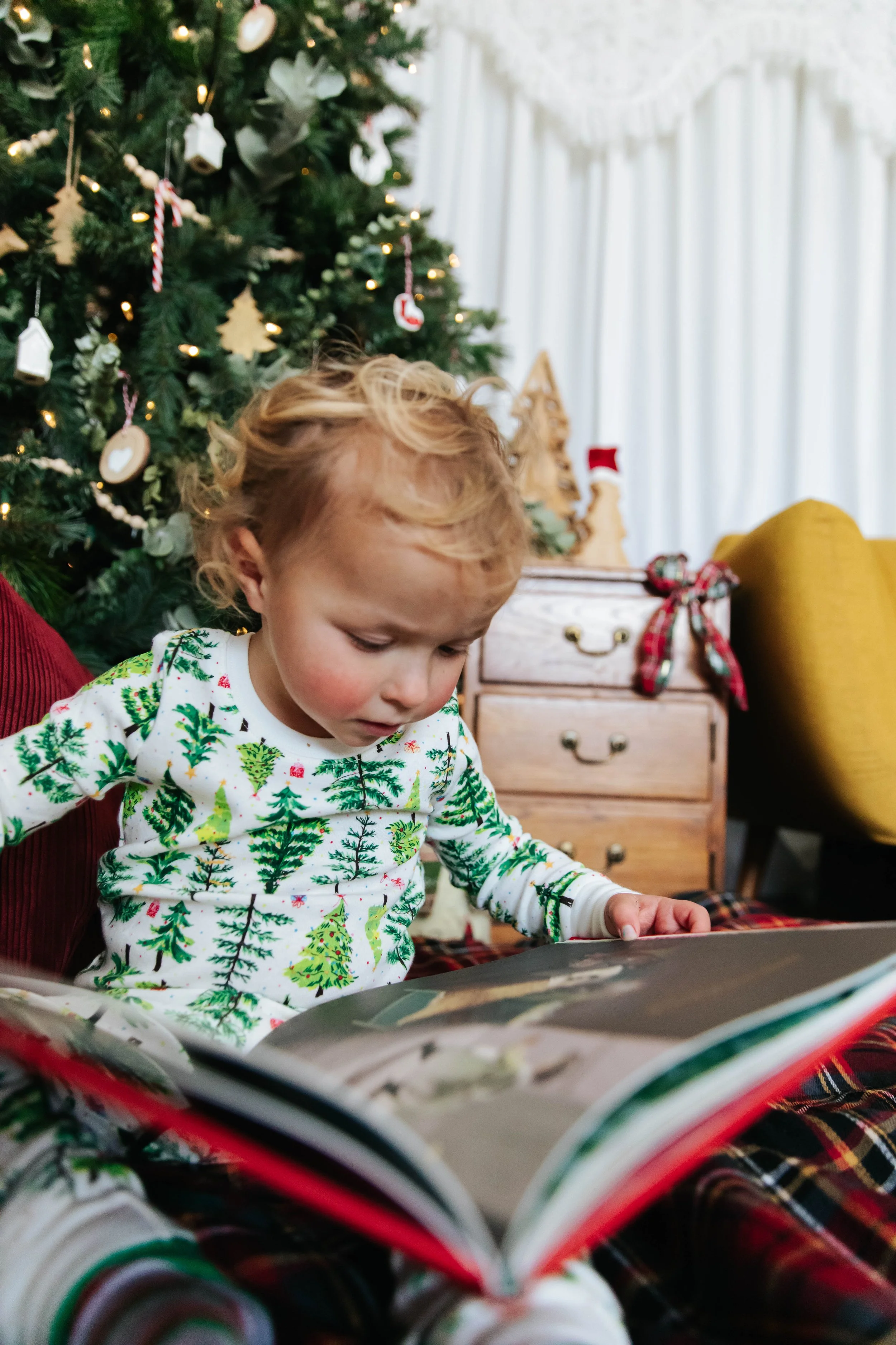 dgphotographyholidayminis2025-27.jpg