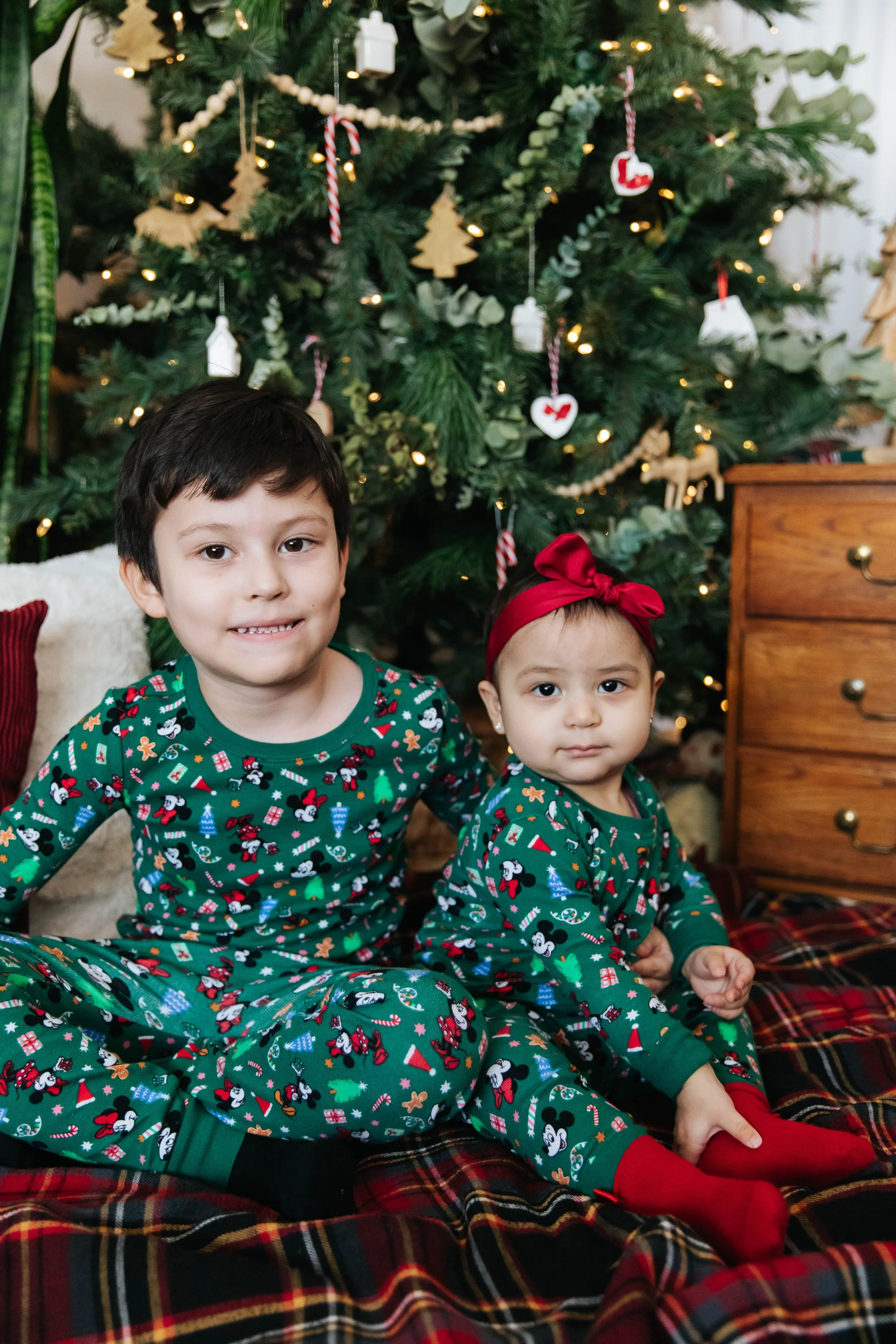 dgphotographyholidayminis2025-29.jpg