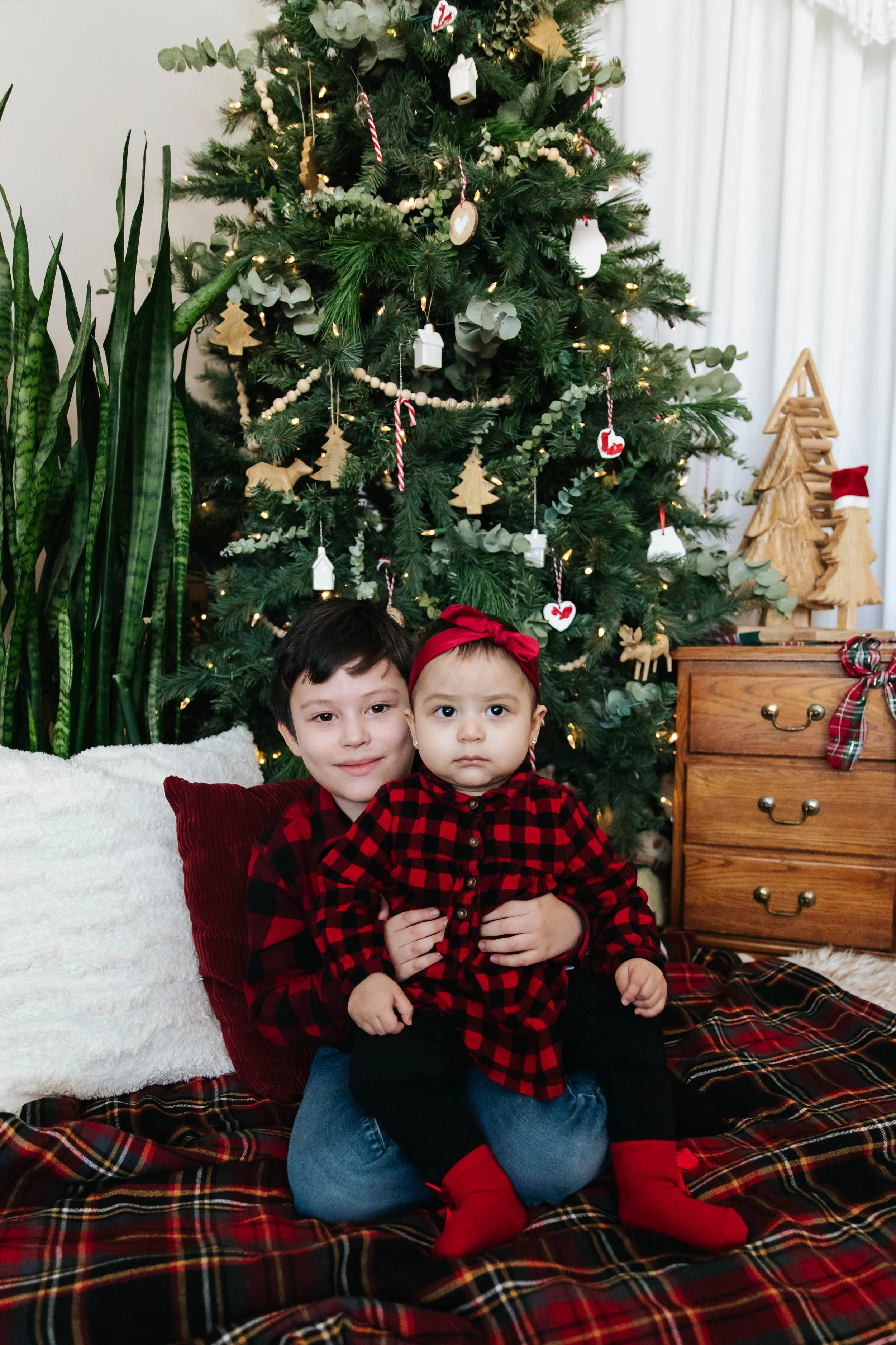 dgphotographyholidayminis2025-10.jpg