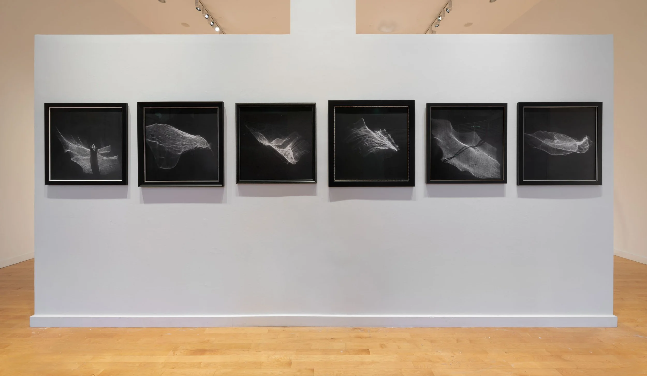 Souls I-VI installation view.jpg