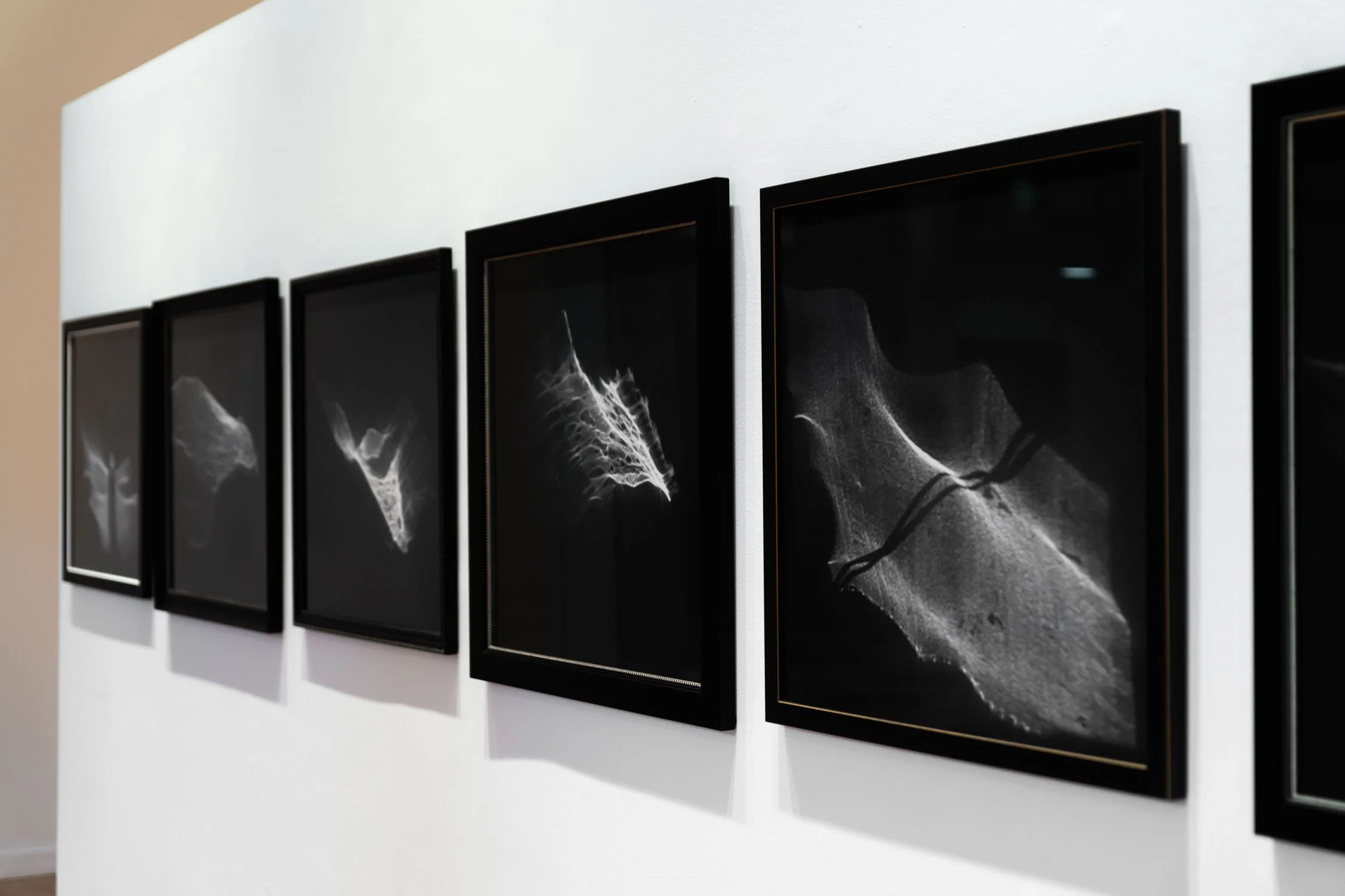 Souls I - VI installation view.jpg