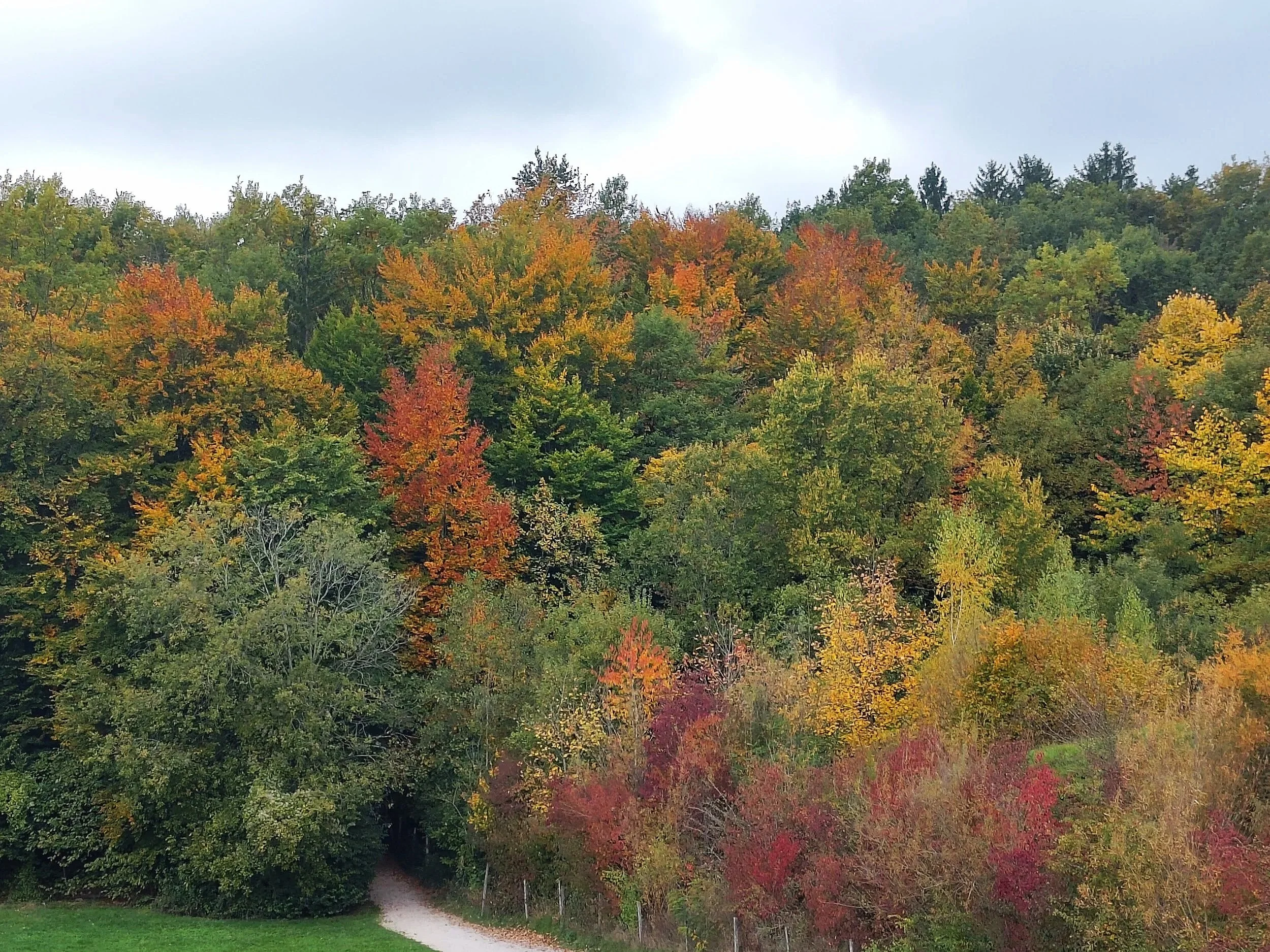 I am a certified project manager: here is how it all started