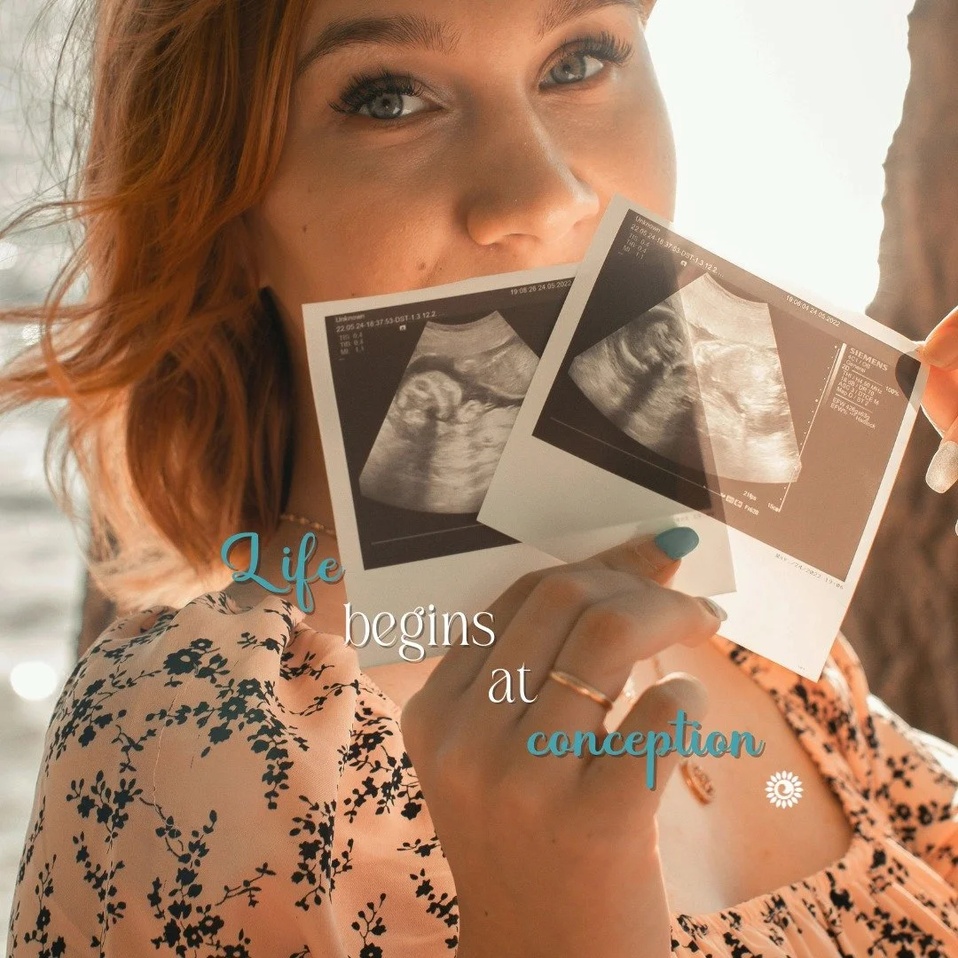 Life begins at conception .˳˳.⋅ઇଓ