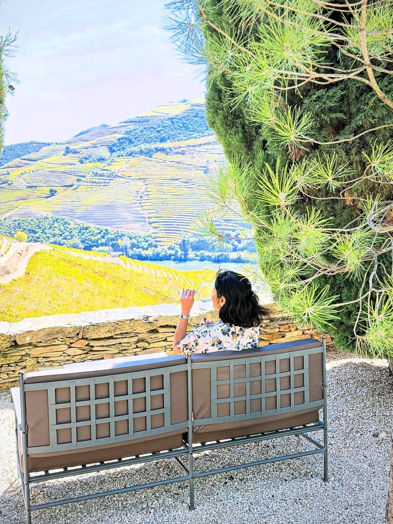 @ragini13 ~ from tech to wine. Zero regrets.🍷